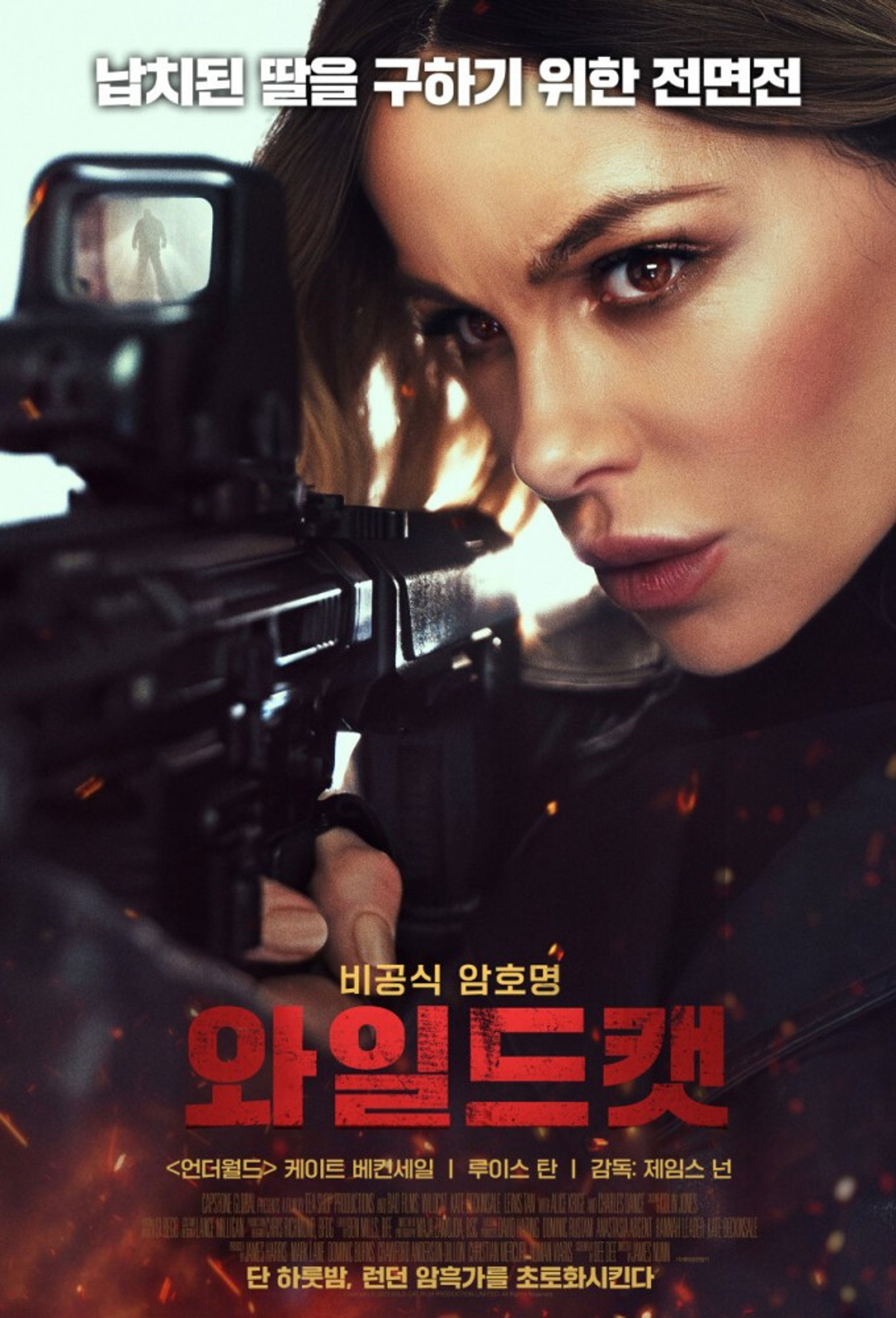 와일드캣