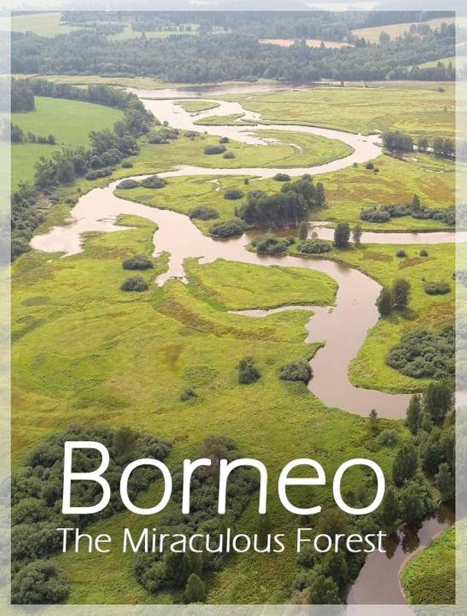 Bornéo, la forêt miraculée