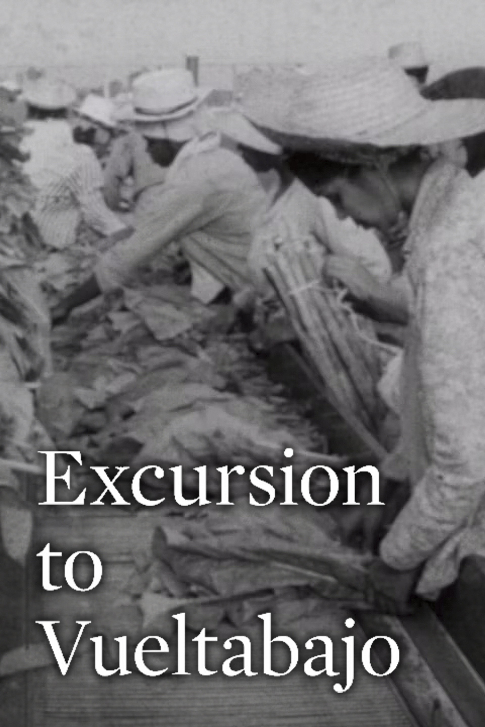 Excursión a Vueltabajo