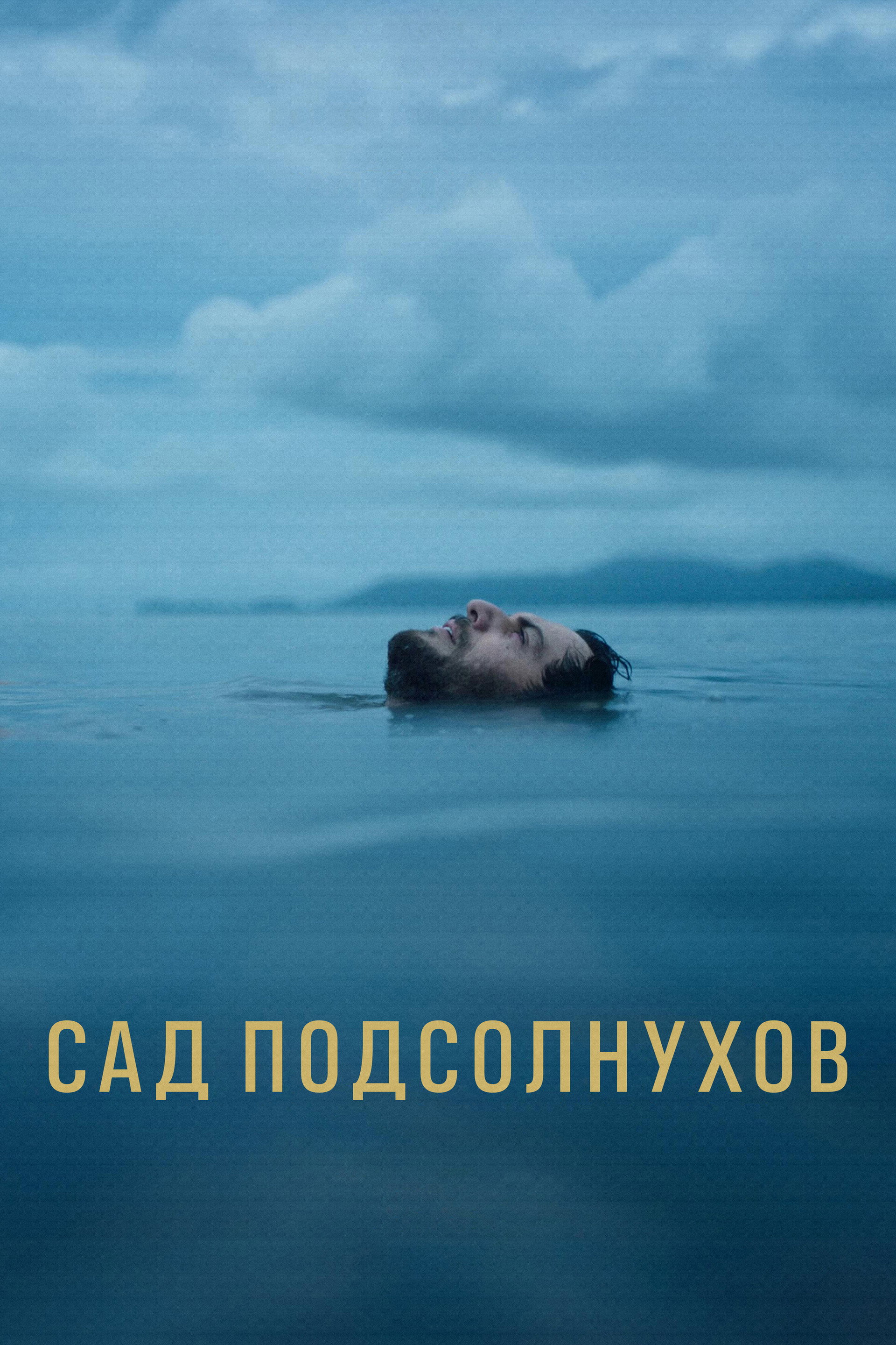 Сад подсолнухов