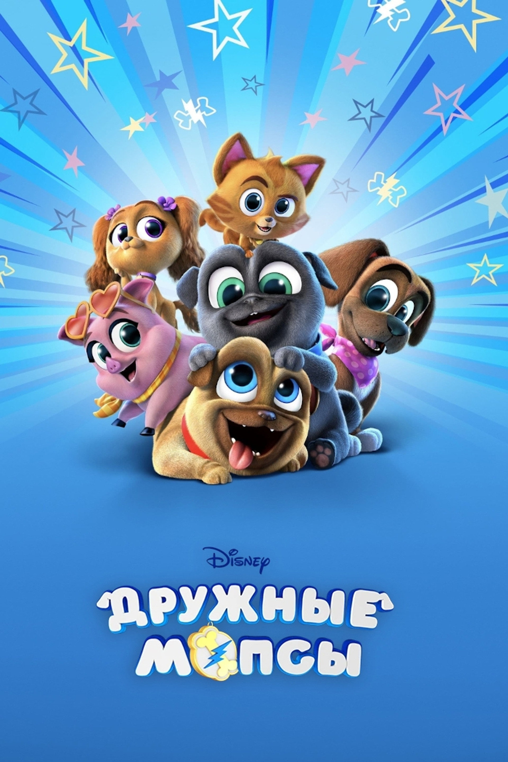 Дружные мопсы