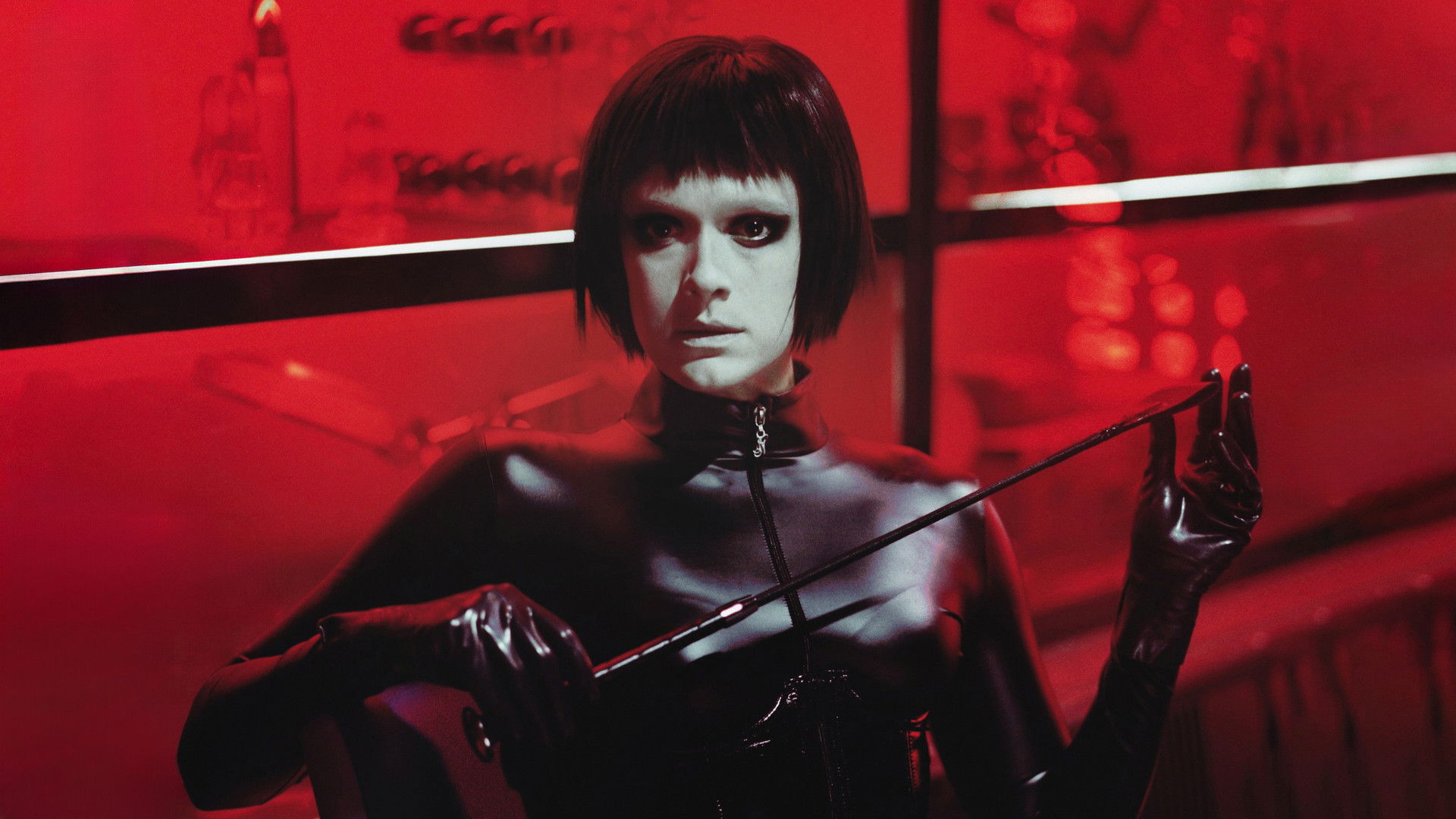 Dogs Don't Wear Pants