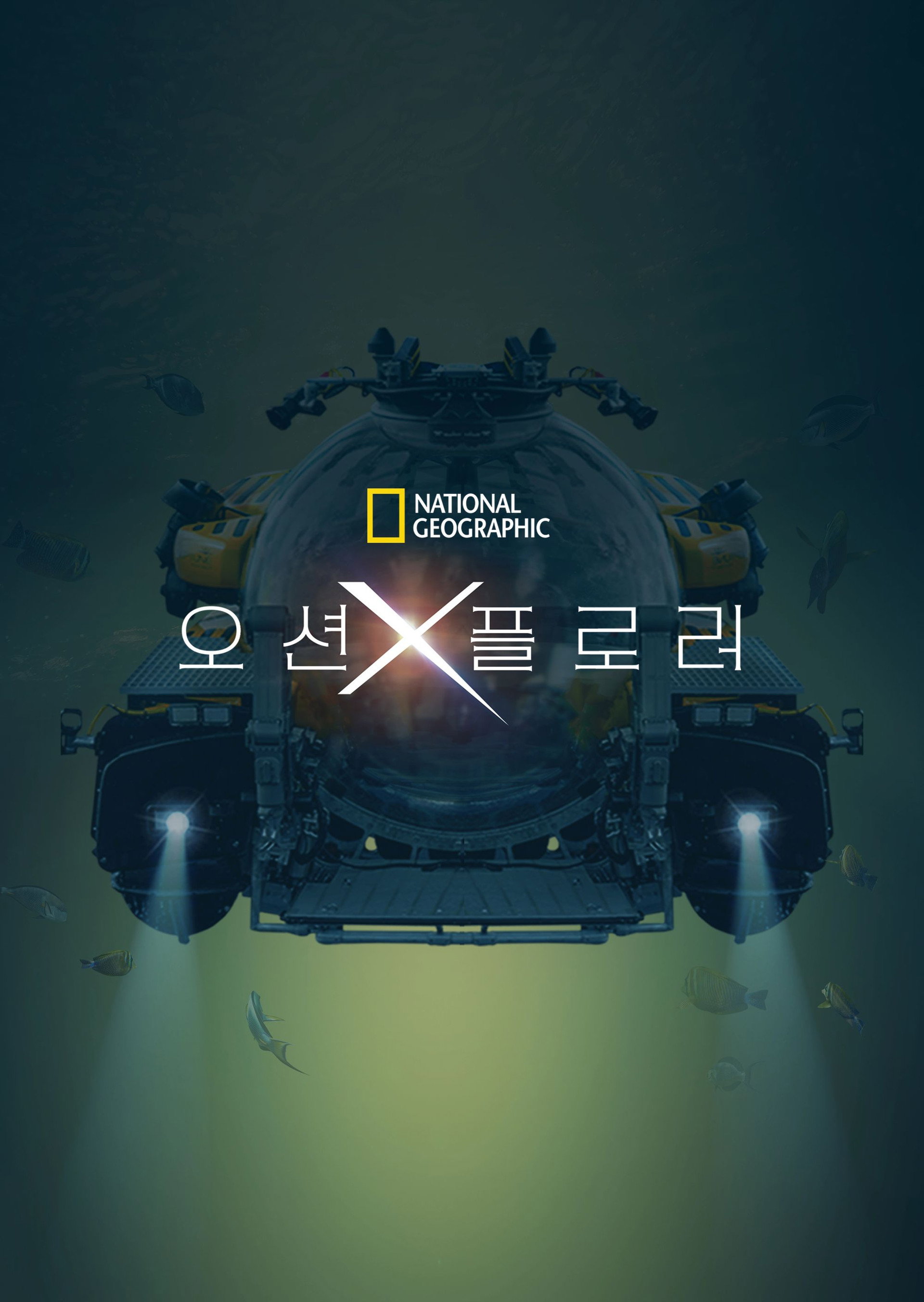오션 X플로러