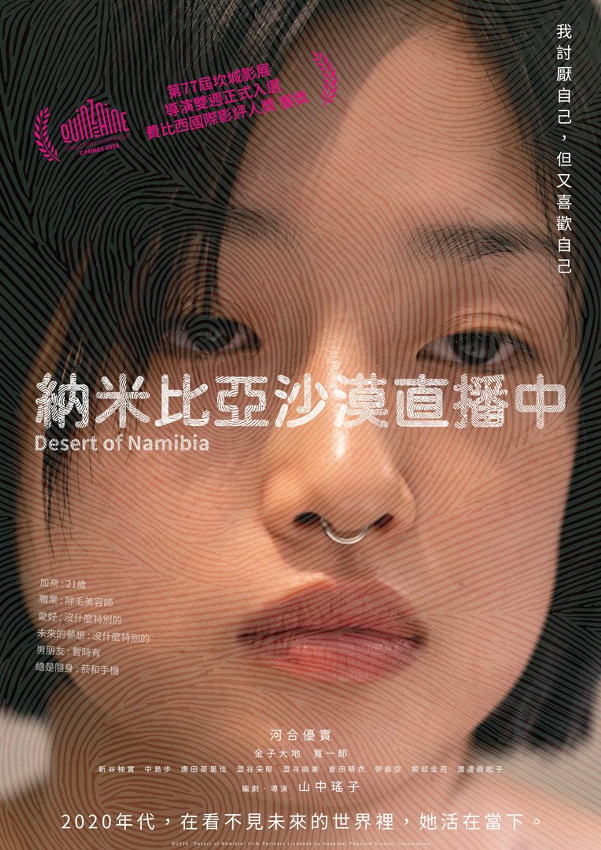 纳米比亚的沙漠