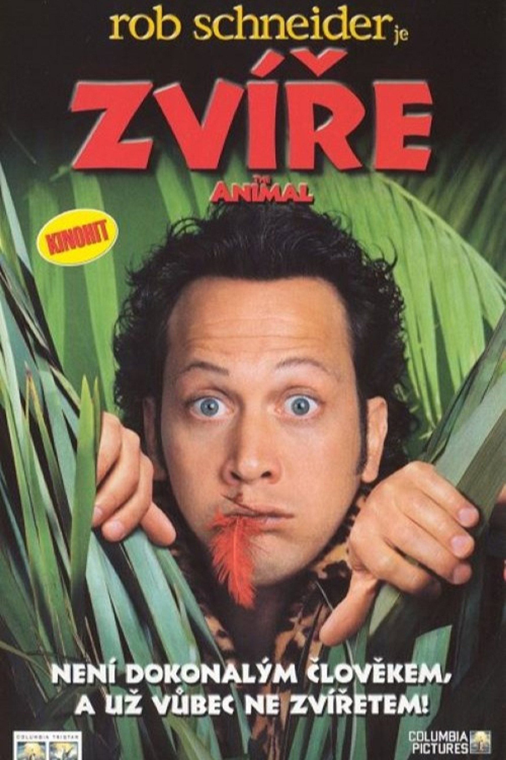 Zvíře