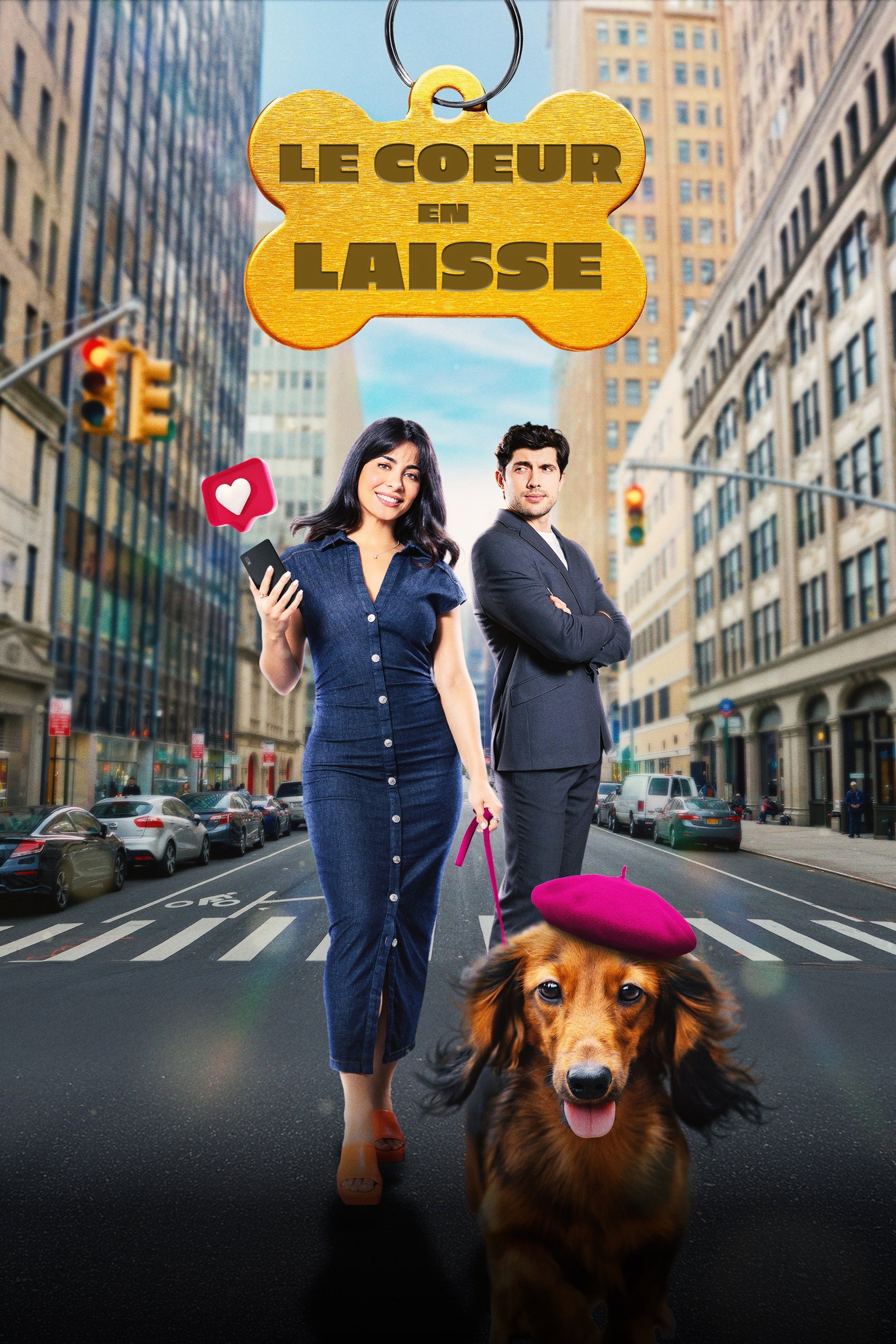 Paws in the City