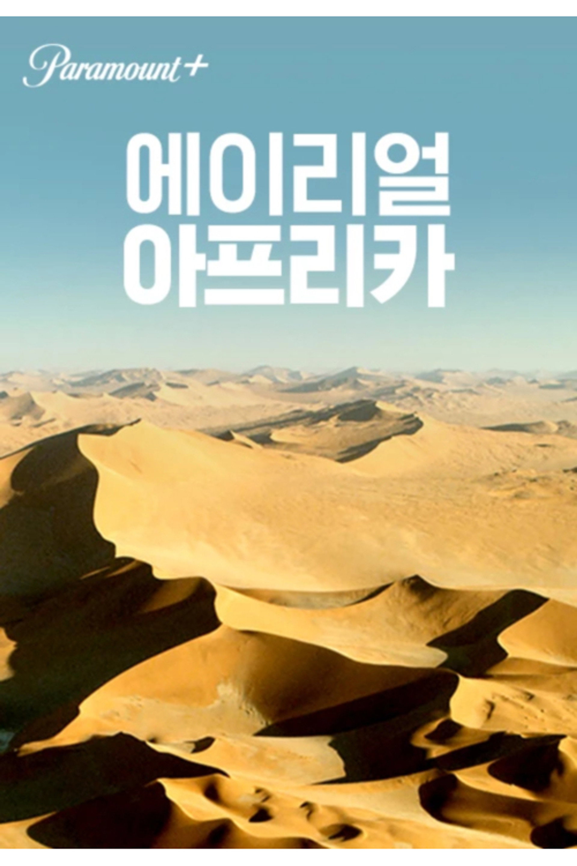 에이리얼 아프리카