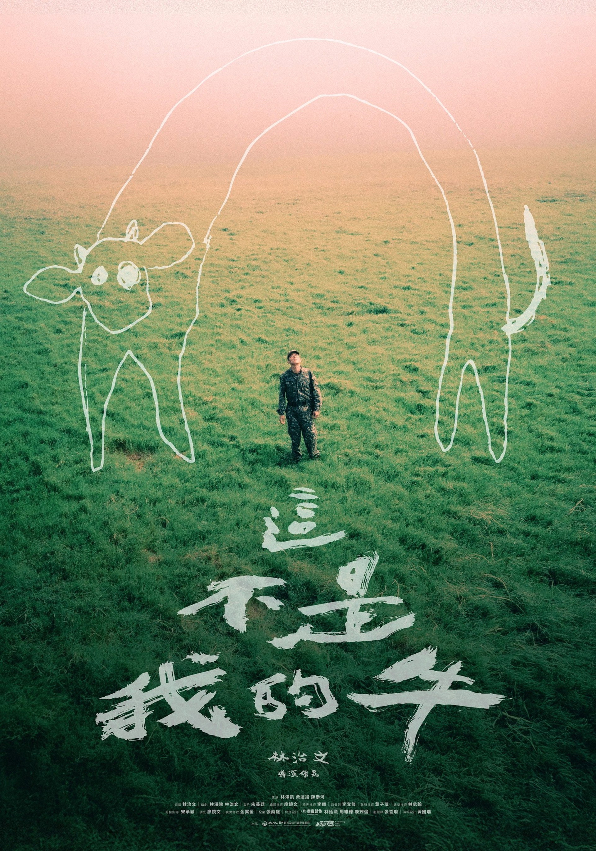 這不是我的牛