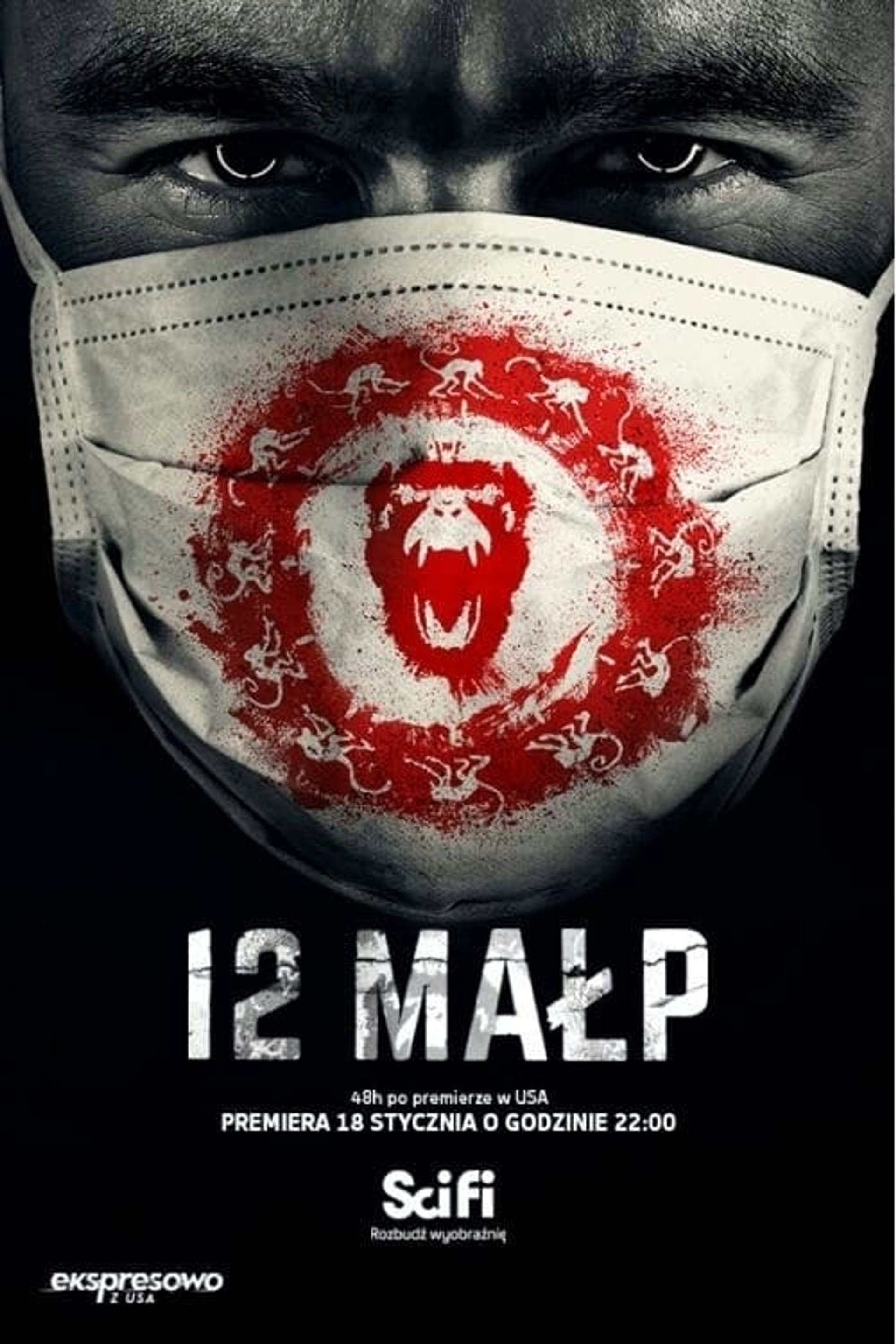 12 Małp