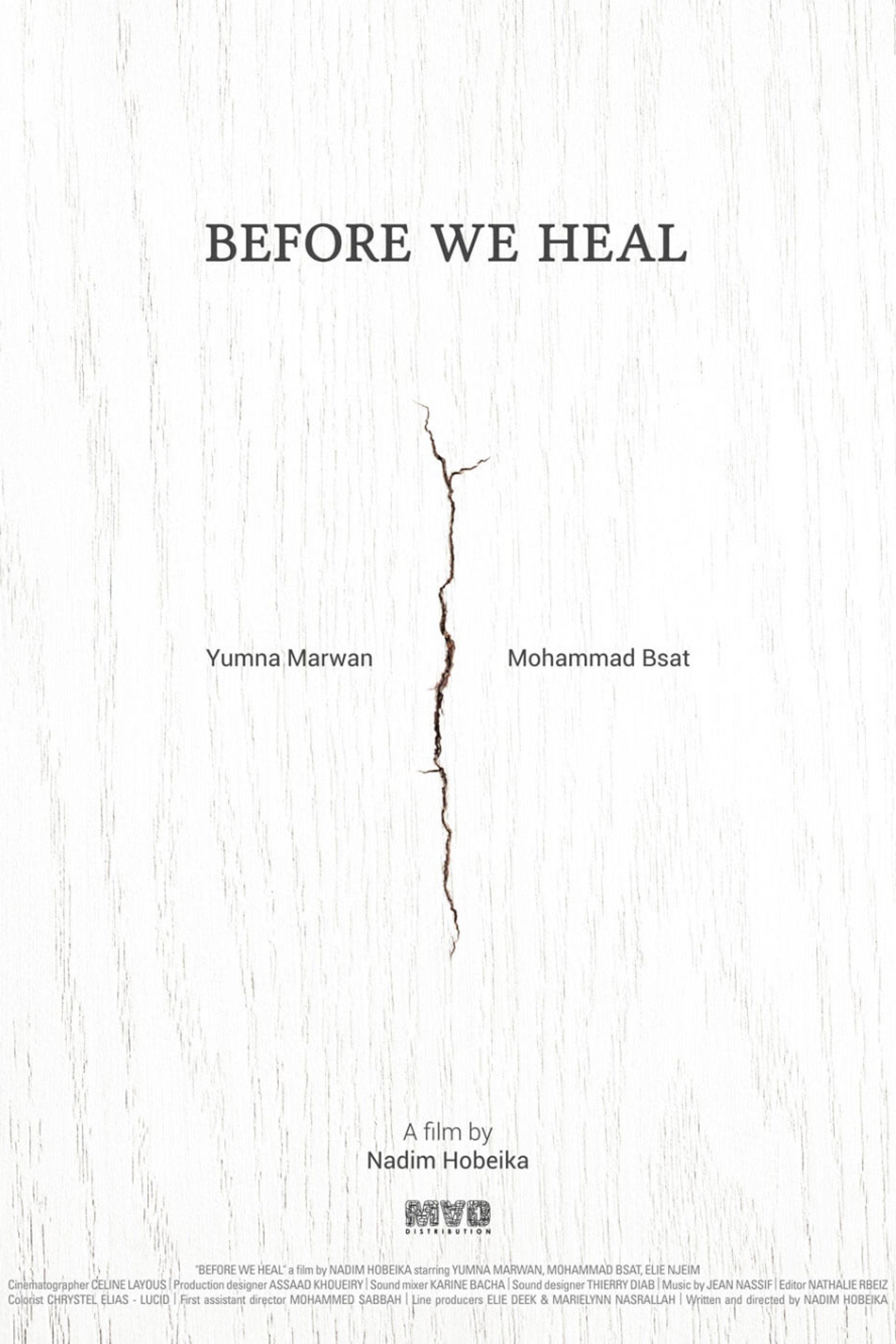 Before We Heal
