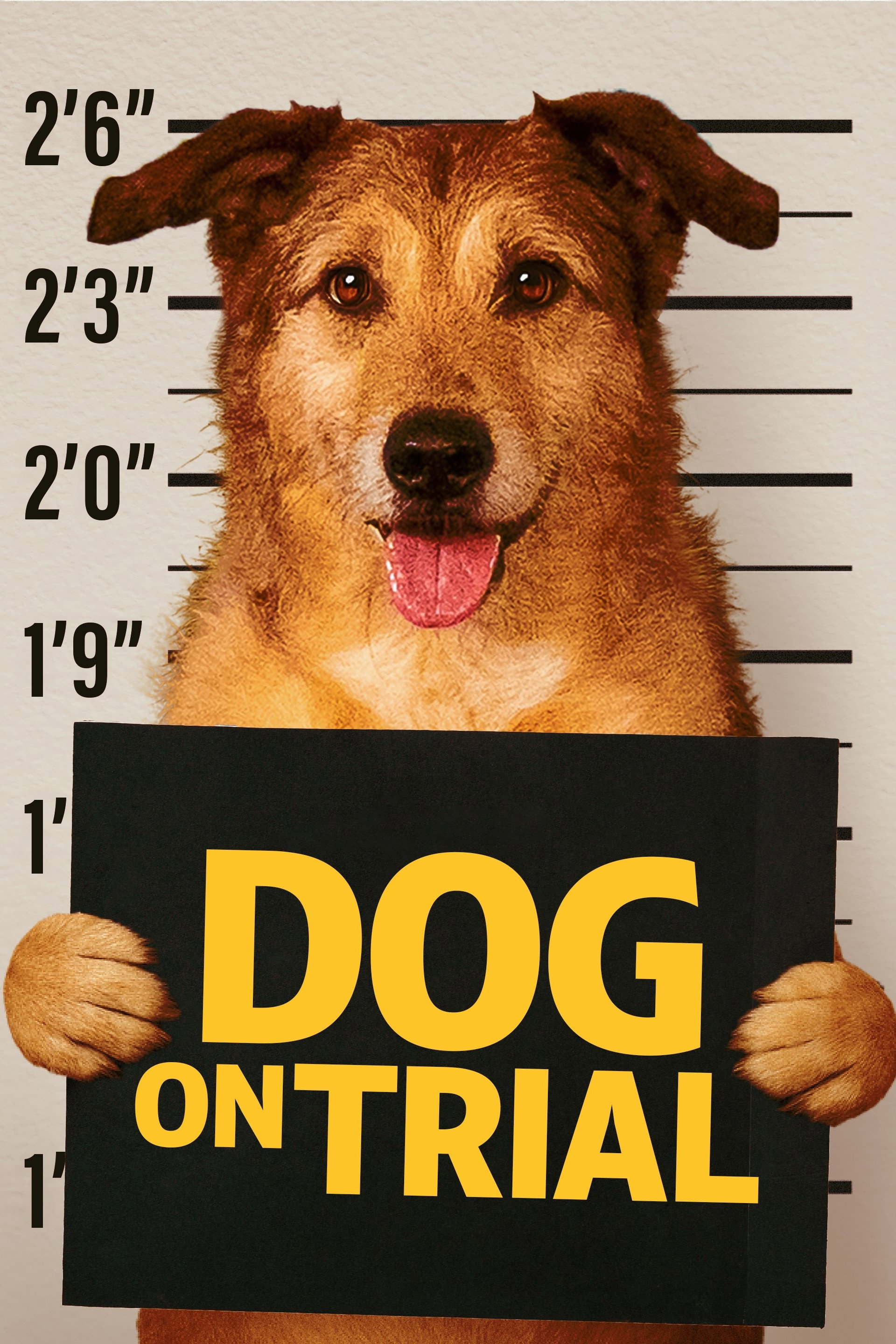 Dog on Trial