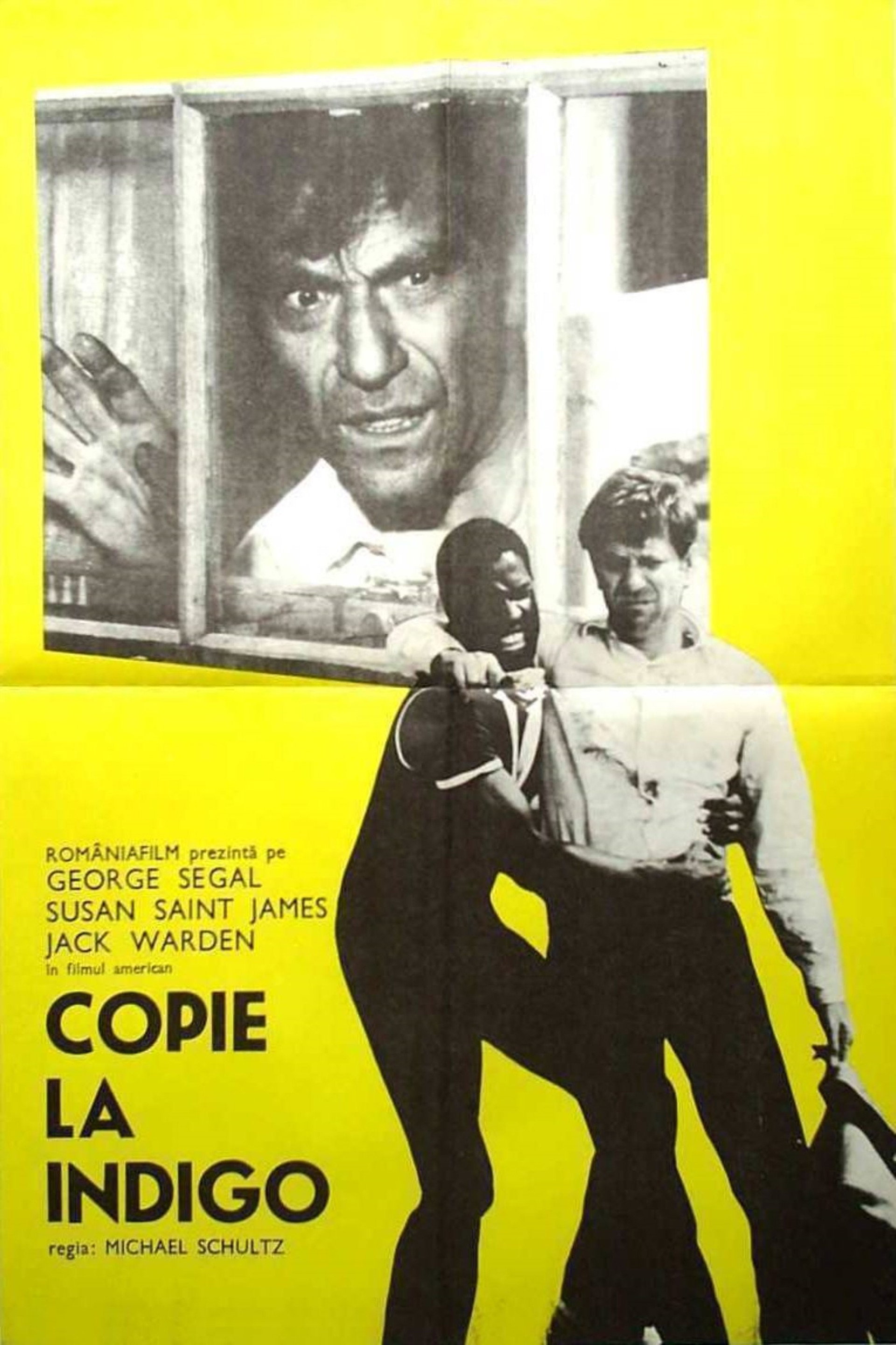 Copie la indigo