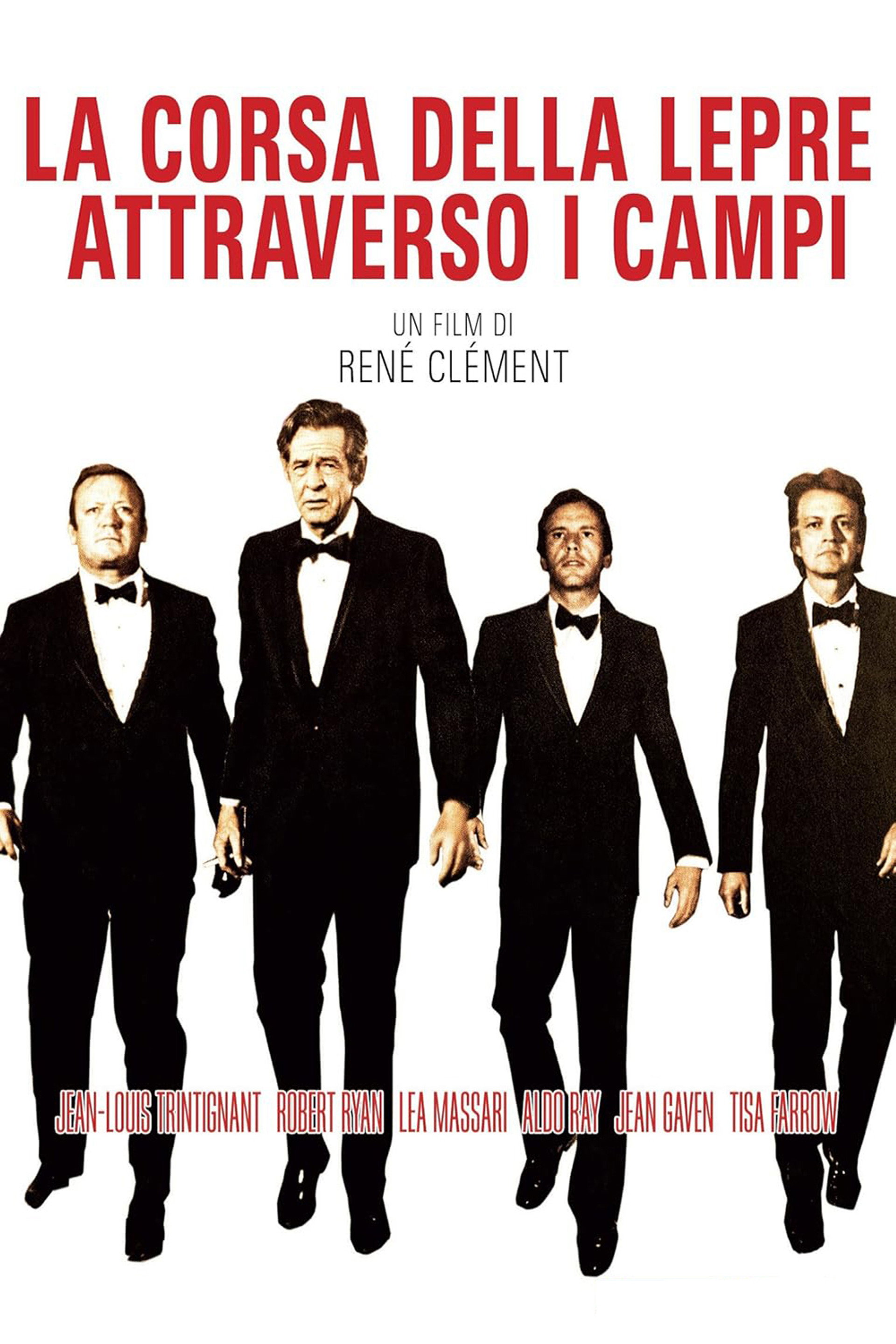 La corsa della lepre attraverso i campi