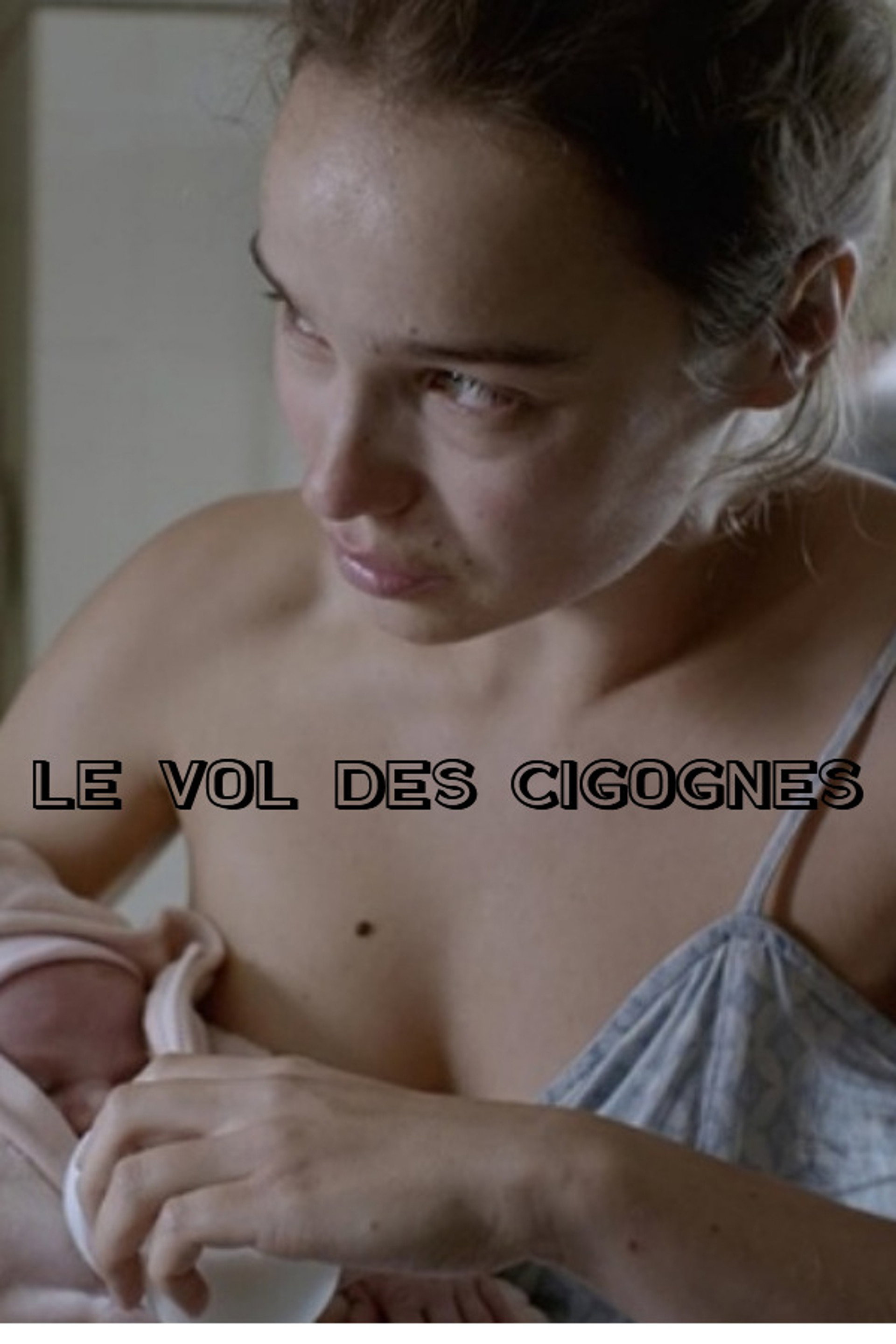 Le Vol des cigognes