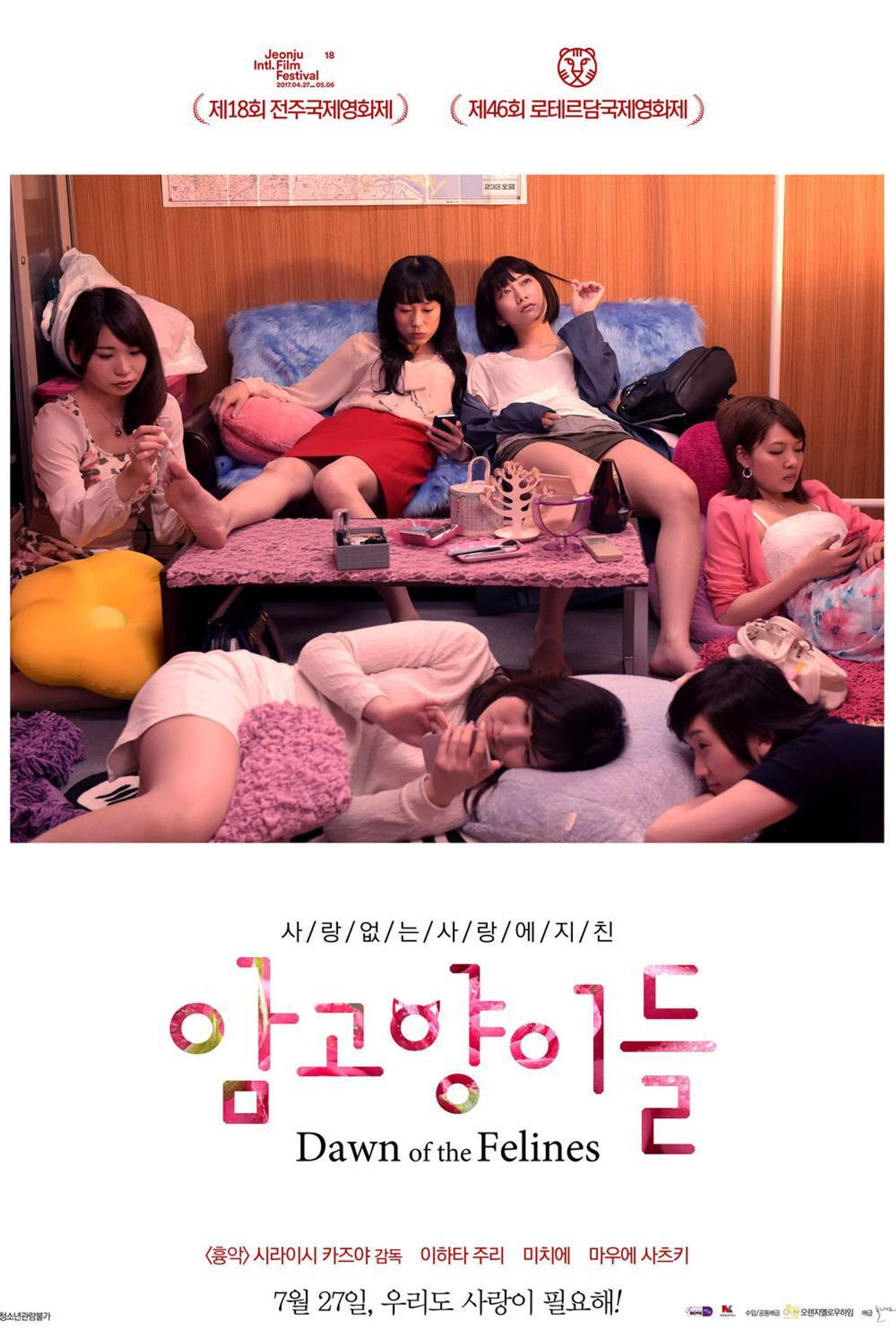 암고양이들