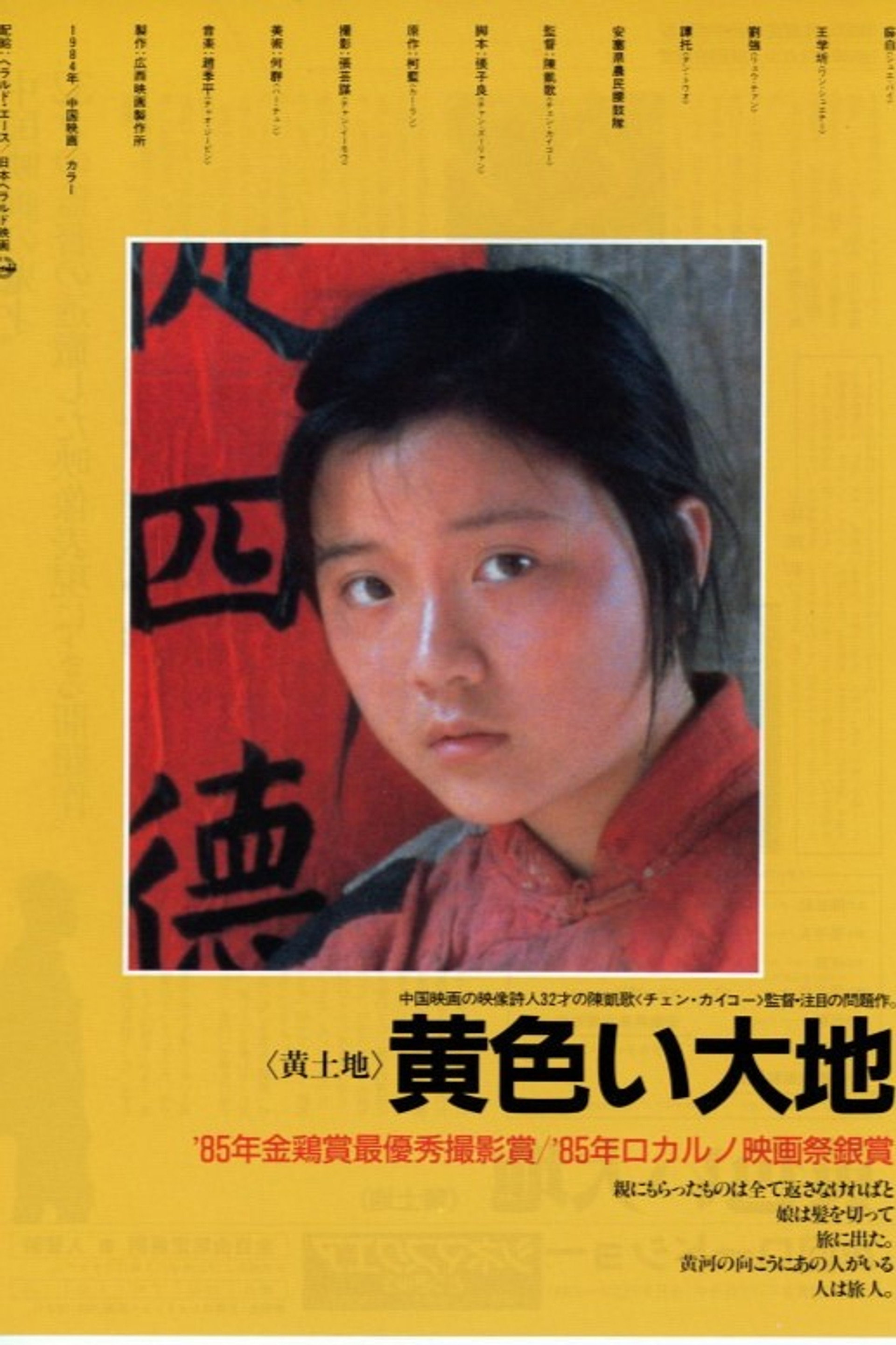黄色い大地