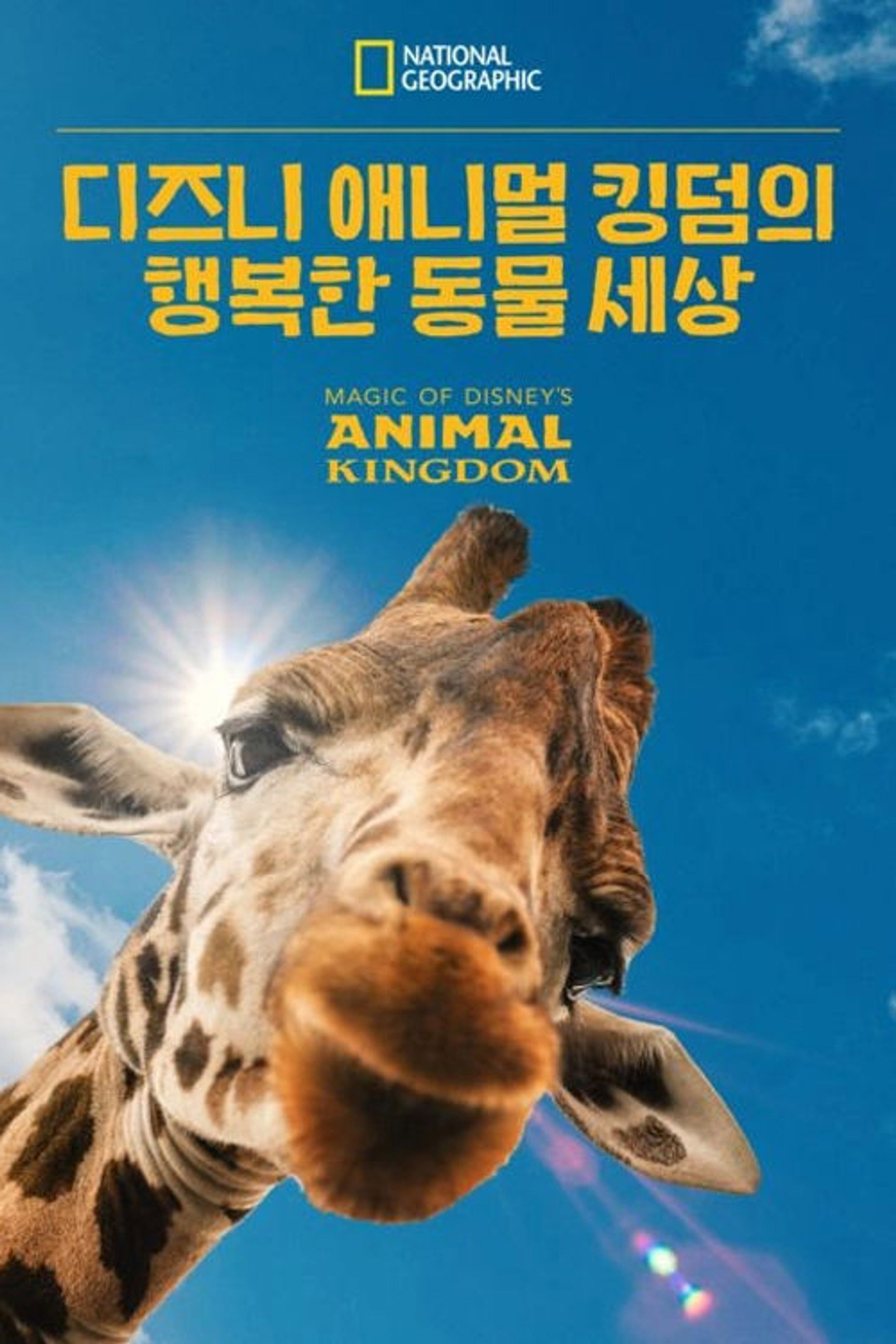 디즈니 애니멀 킹덤의 행복한 동물 세상