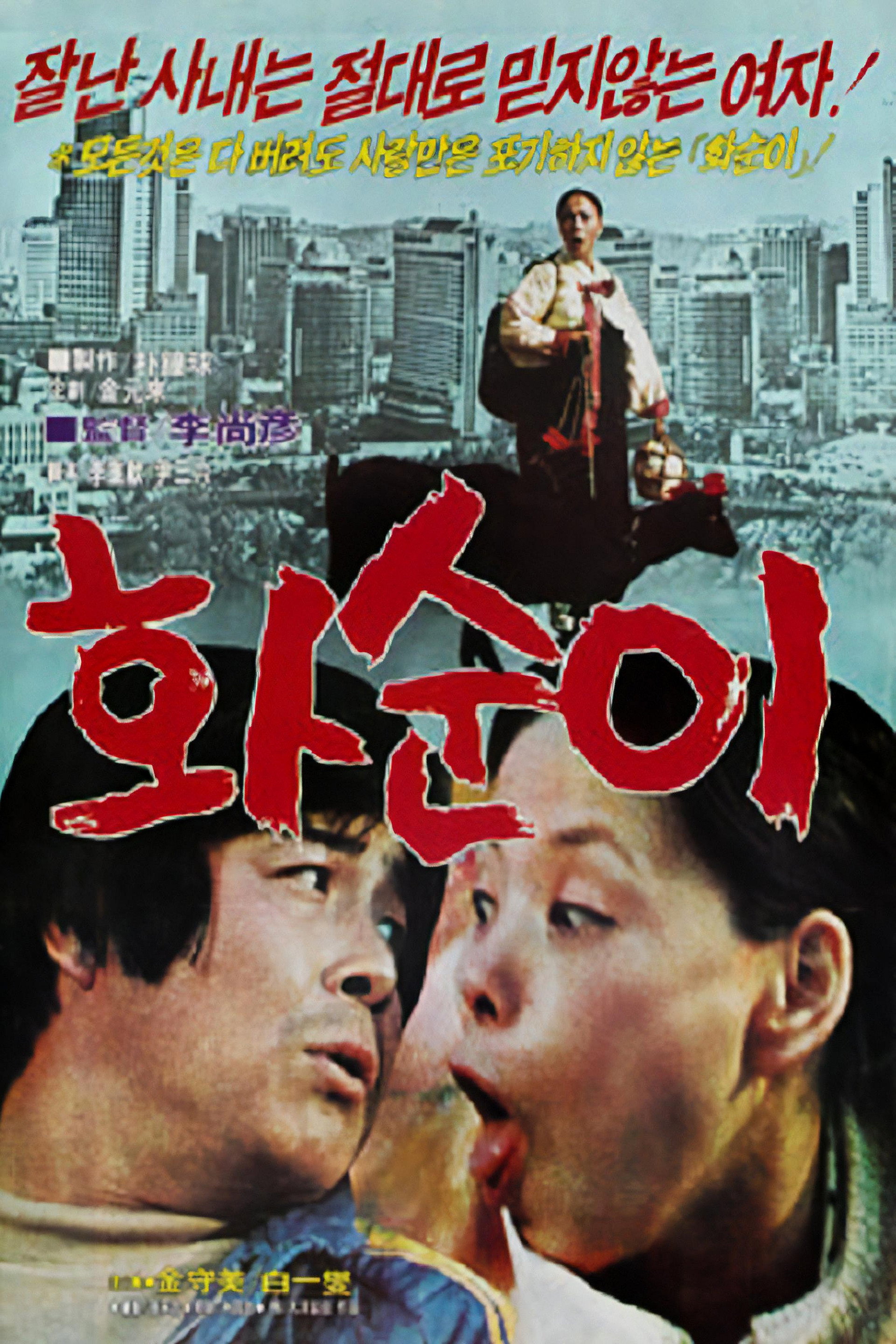 화순이