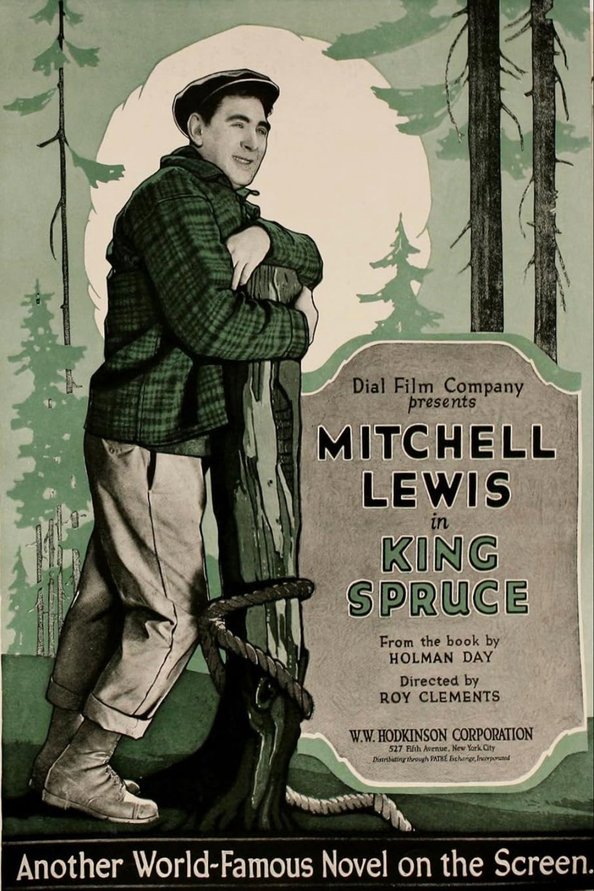 King Spruce
