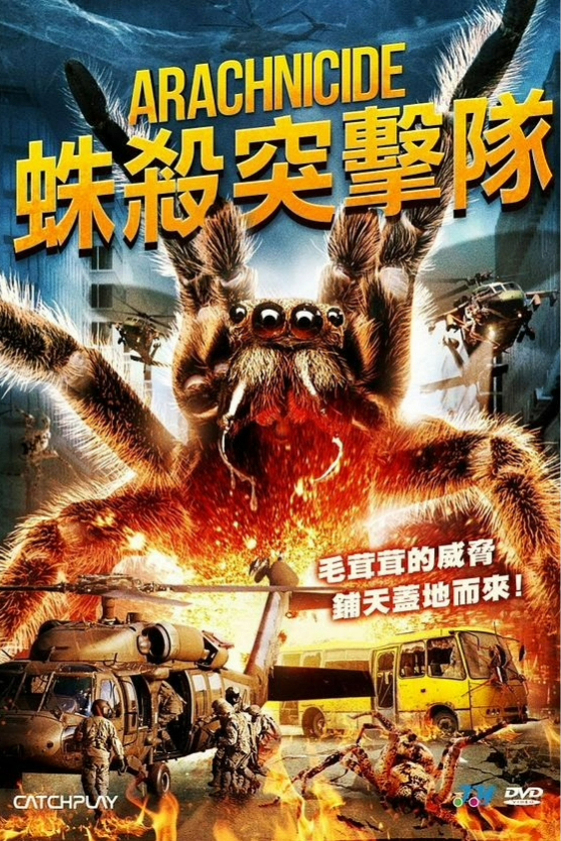 狙击蜘蛛巢