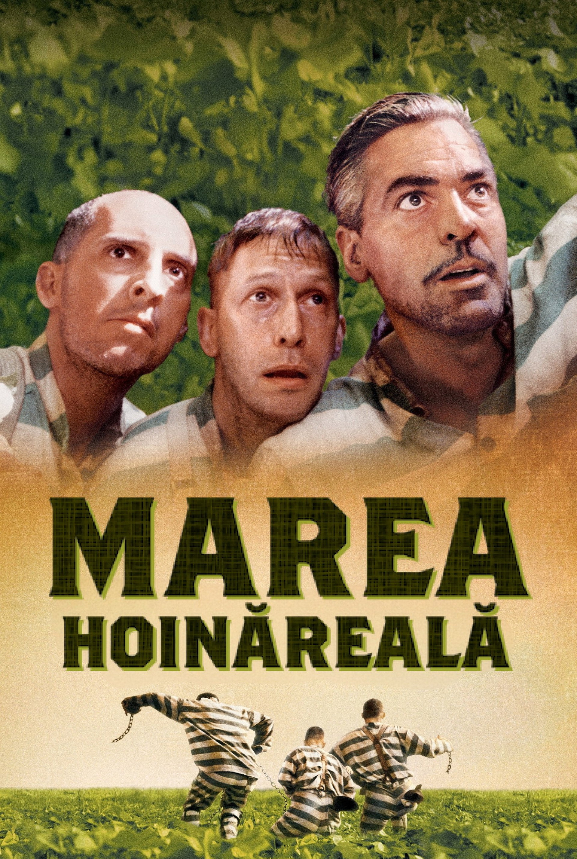 Marea hoinăreală