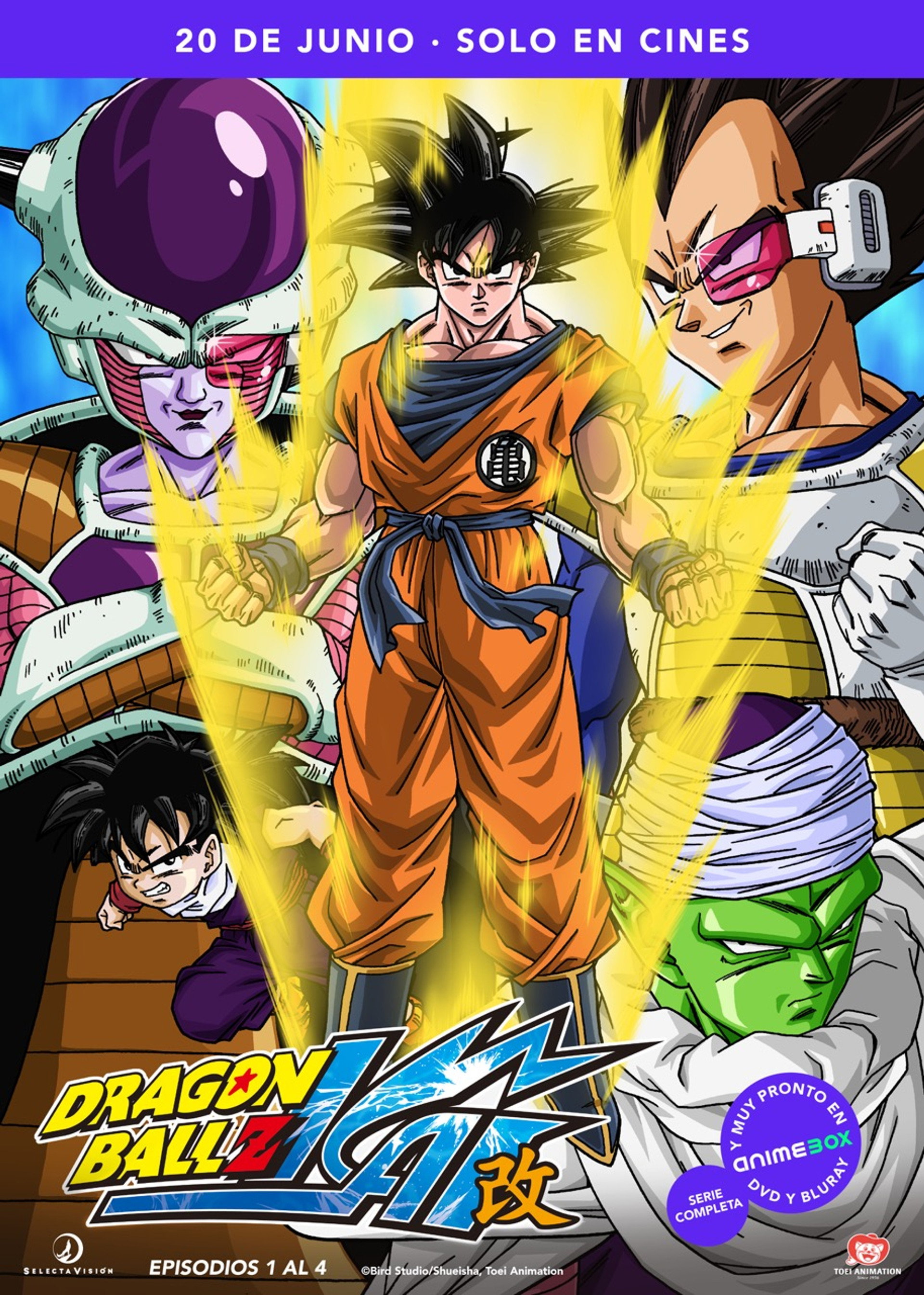 Dragon Ball Z Kai