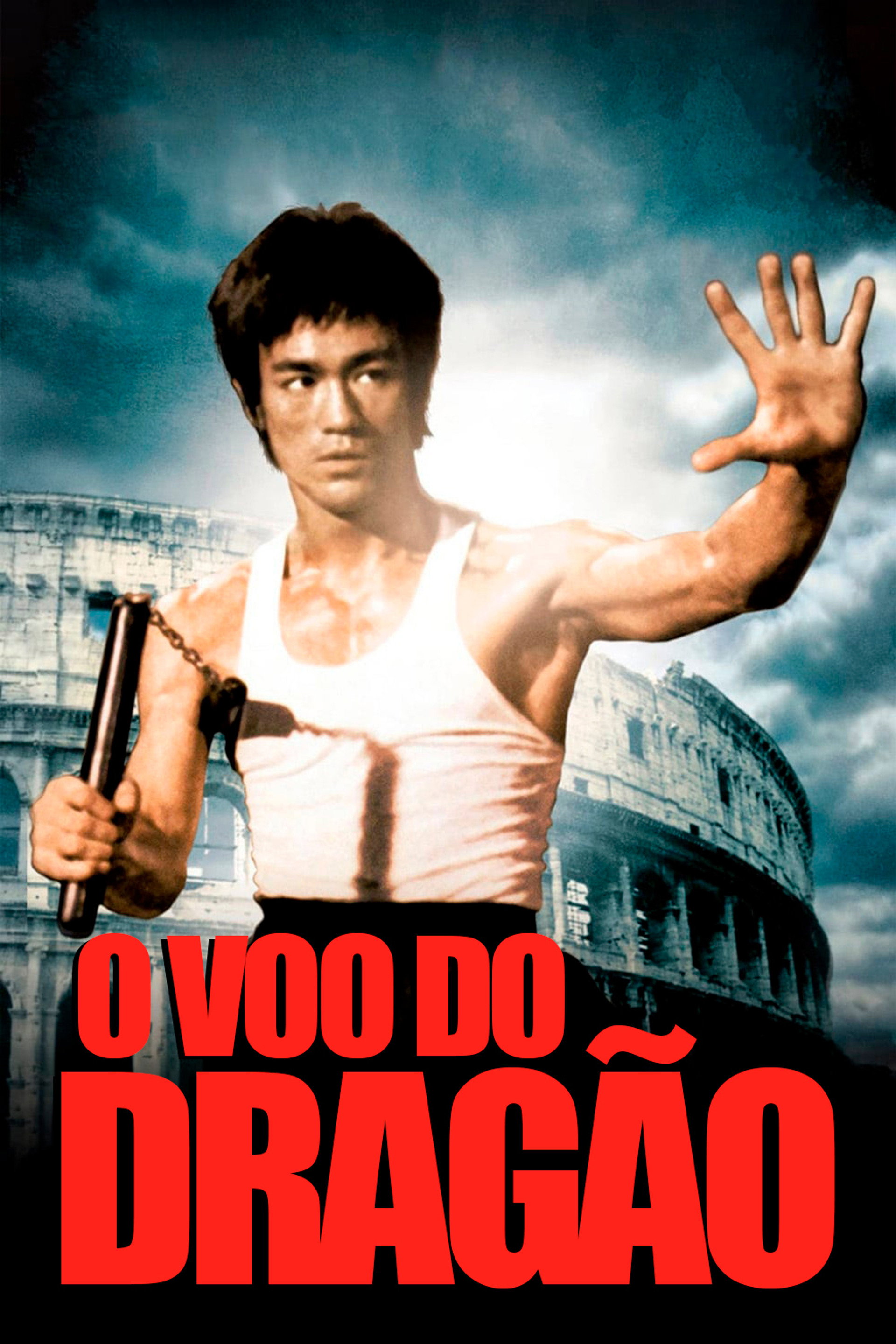 O Voo do Dragão