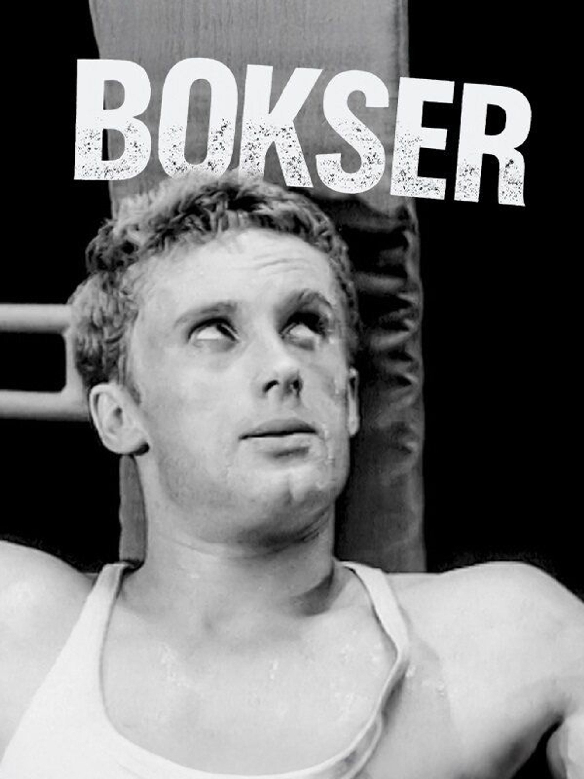 Bokser