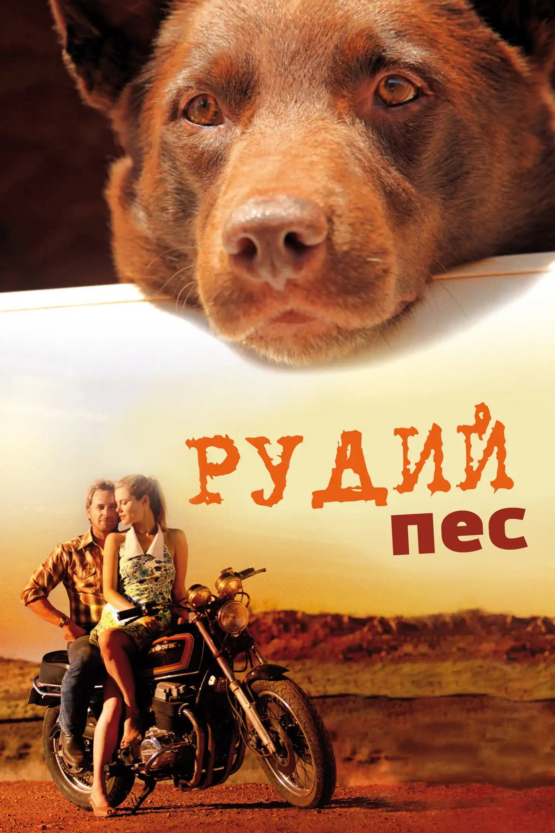 Рудий пес