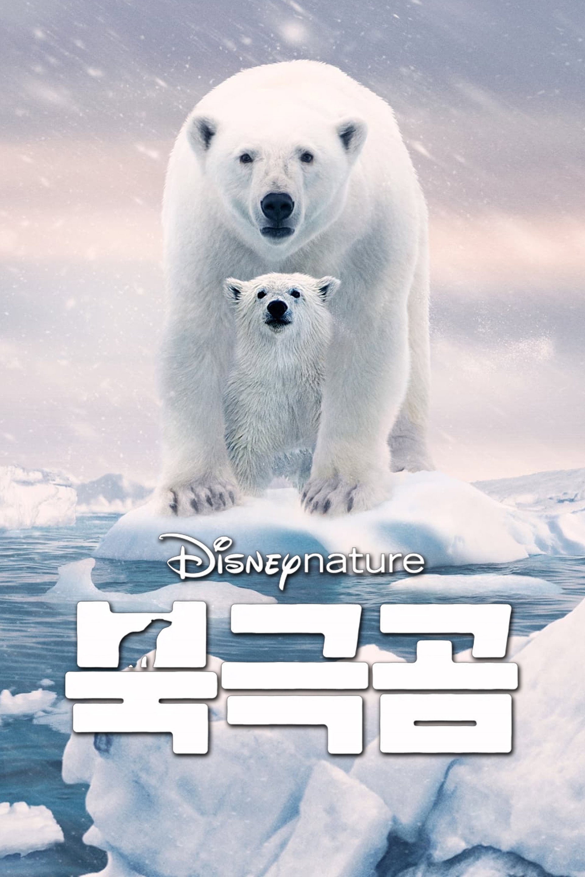 북극곰