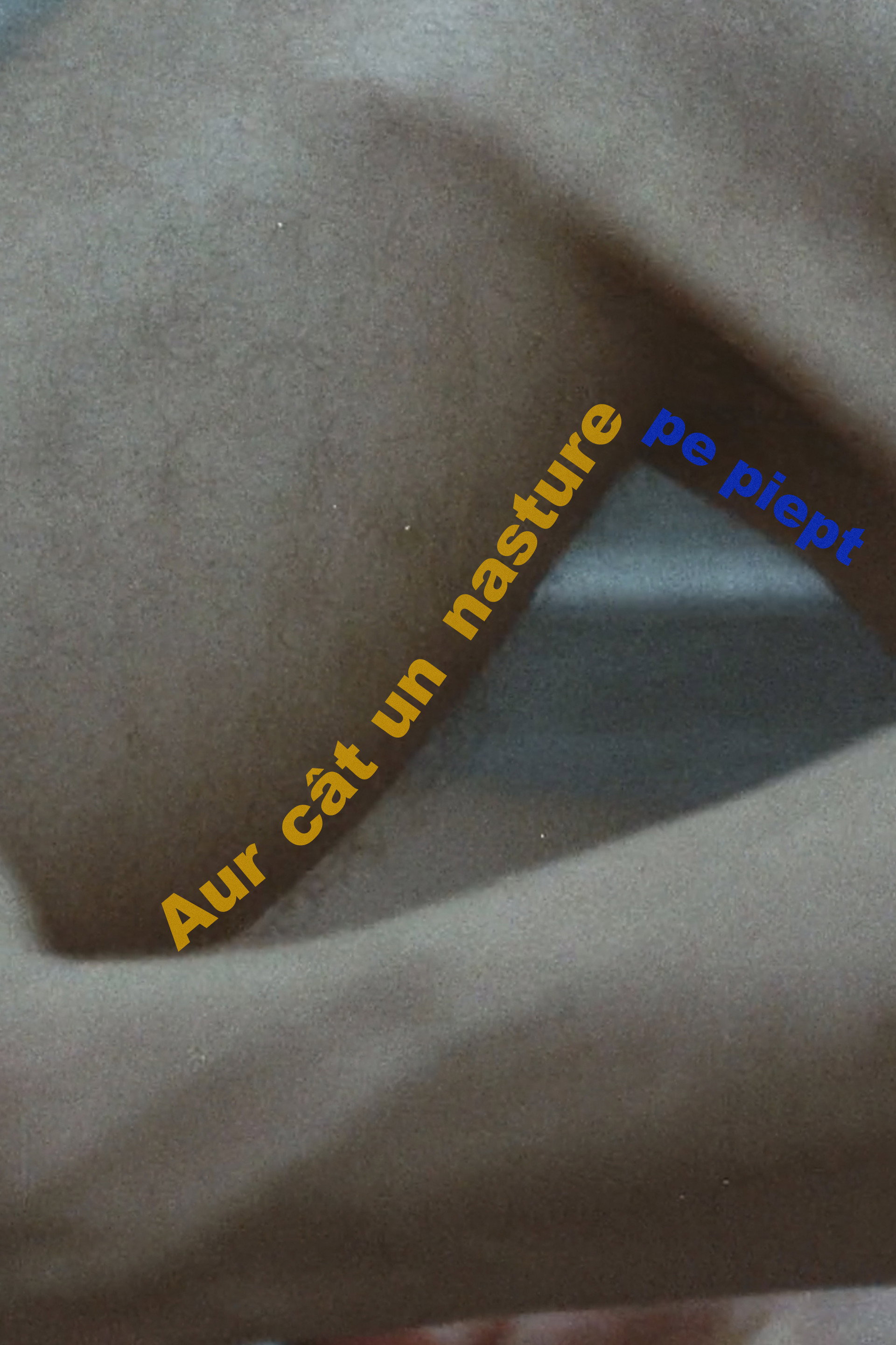 Aur cât un nasture pe piept