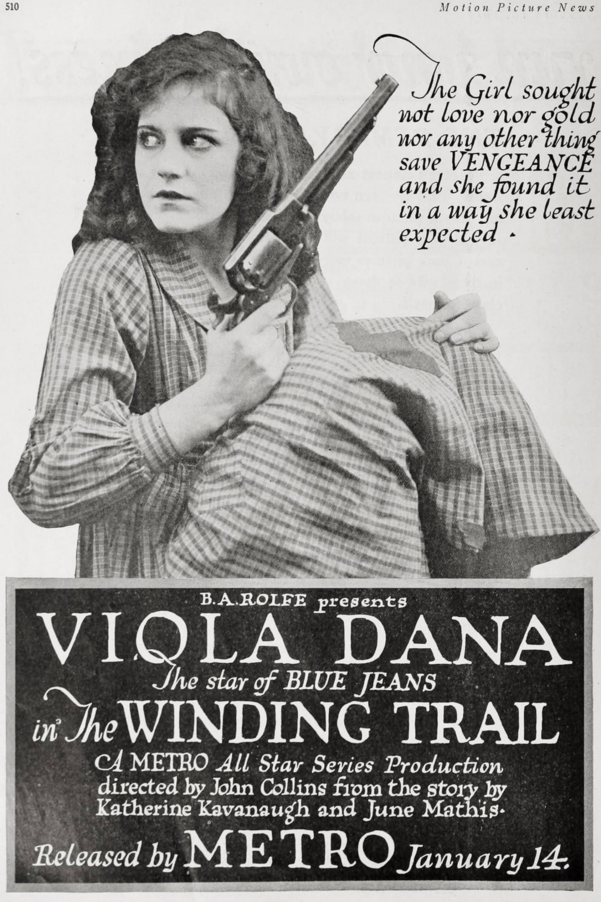 The Winding Trail