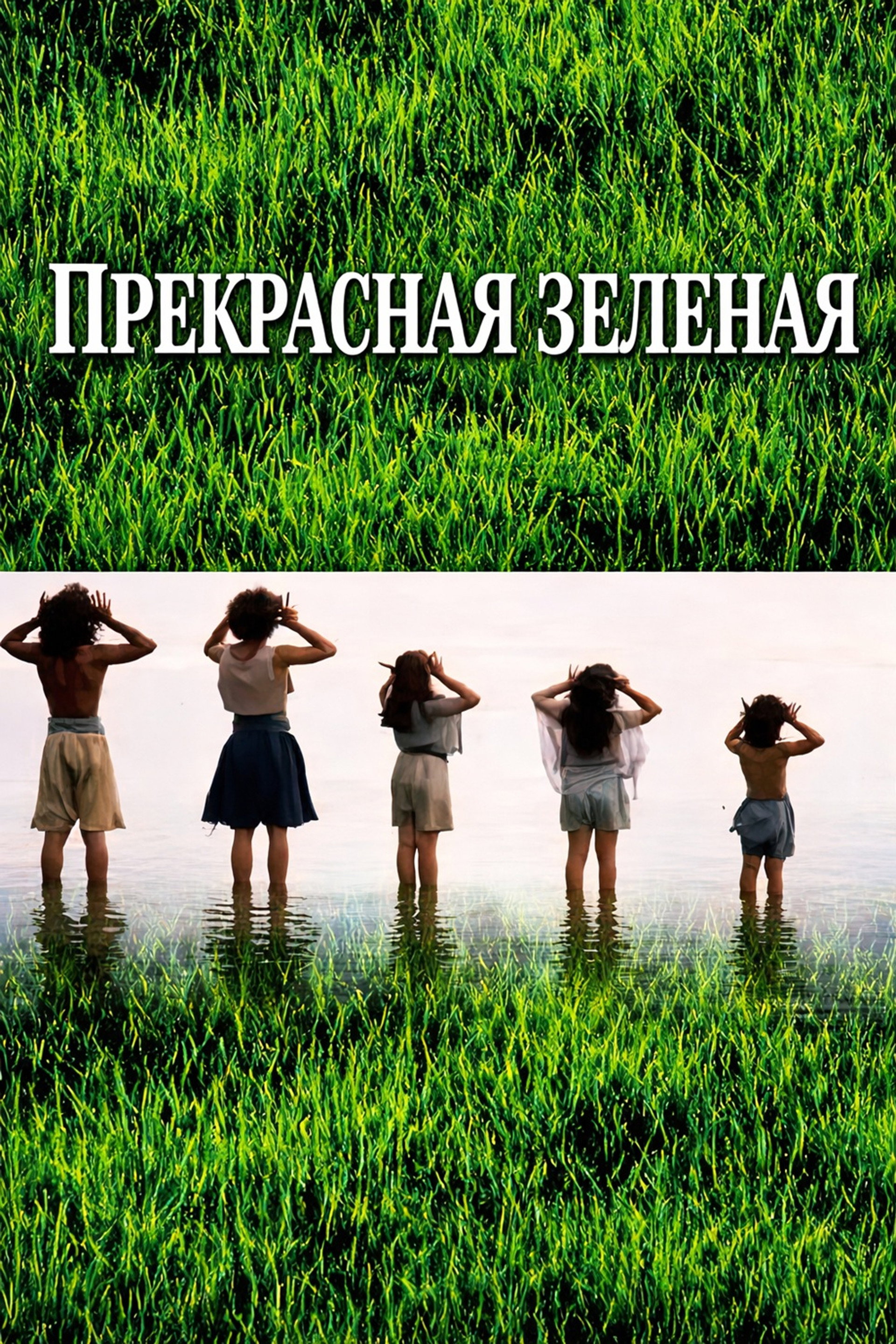 Прекрасная зелёная