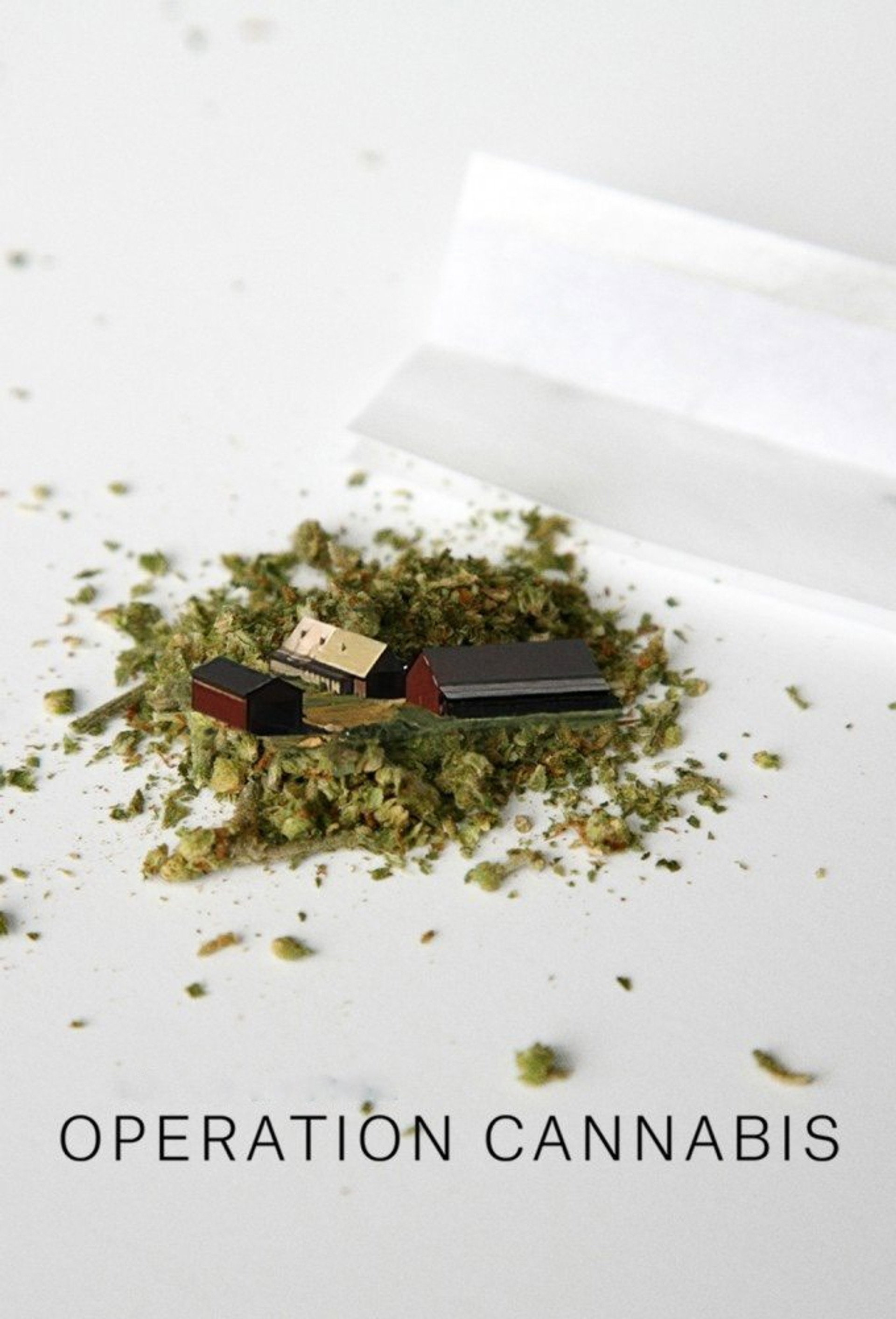Operation Cannabis