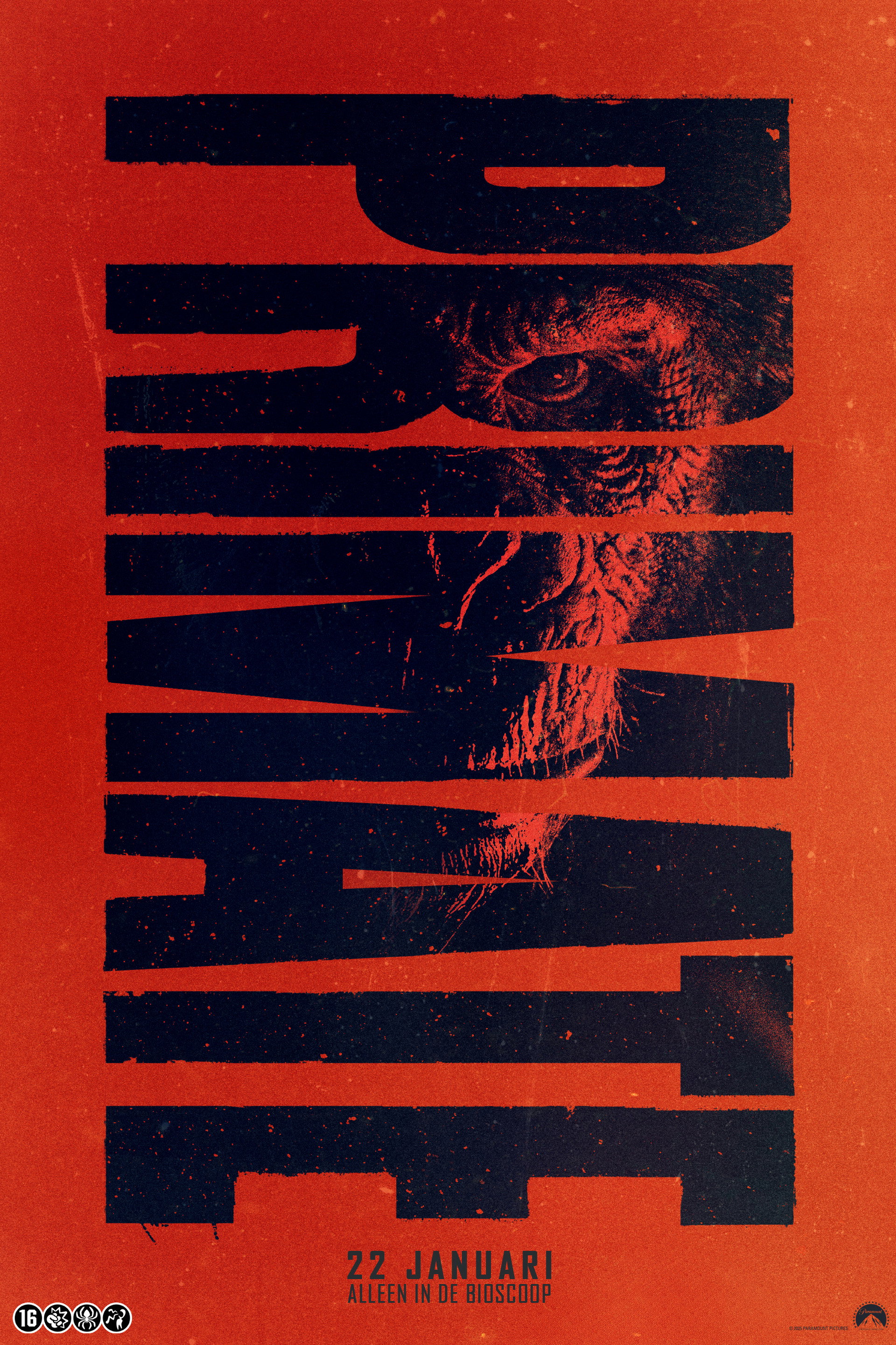 Primate