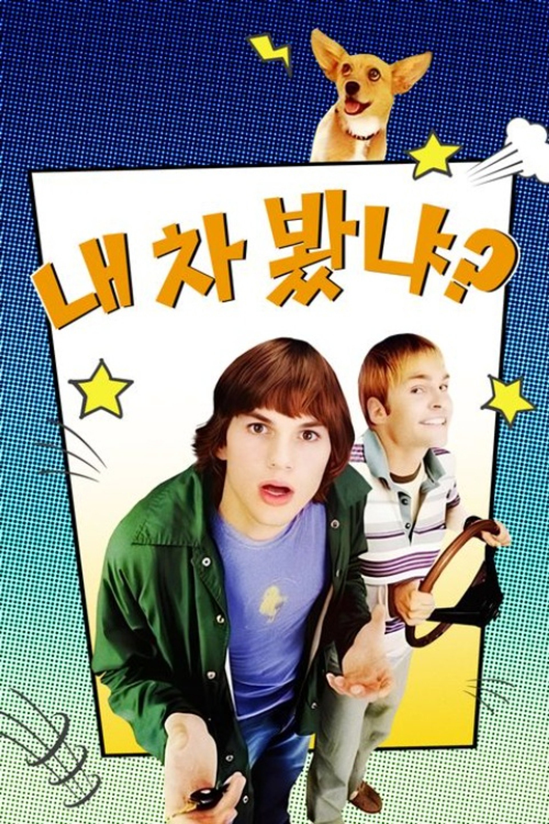 내 차 봤냐?