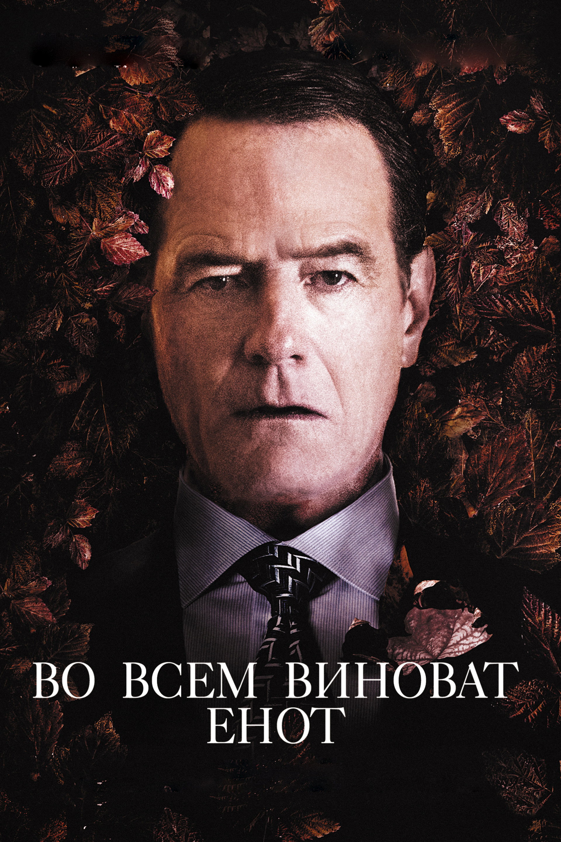 Во всём виноват енот