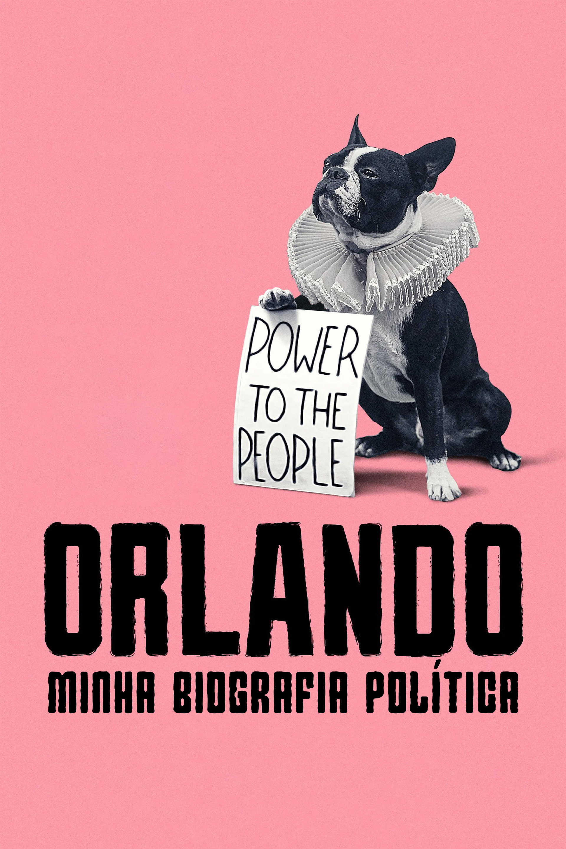 Orlando, Minha Biografia Política