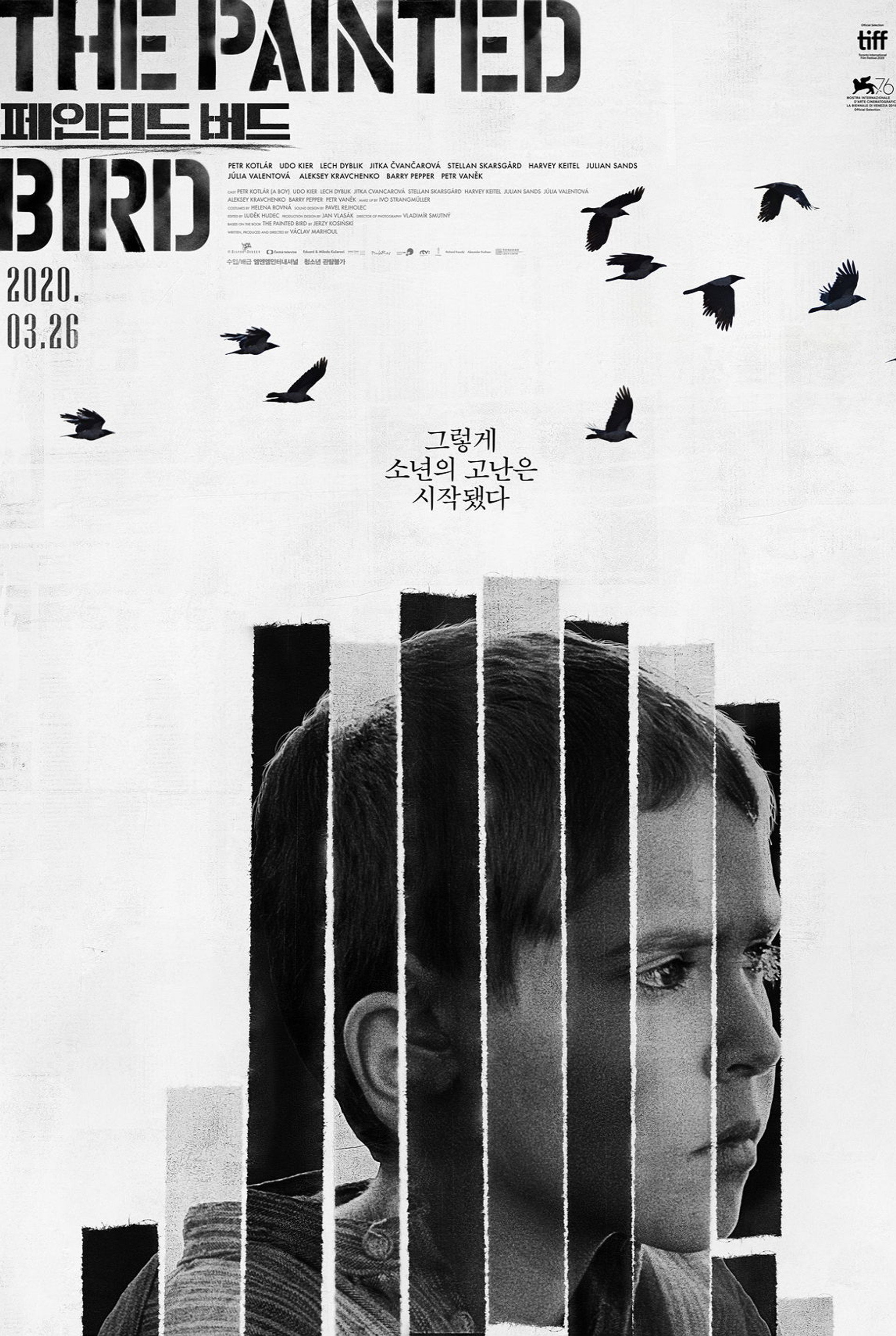 페인티드 버드