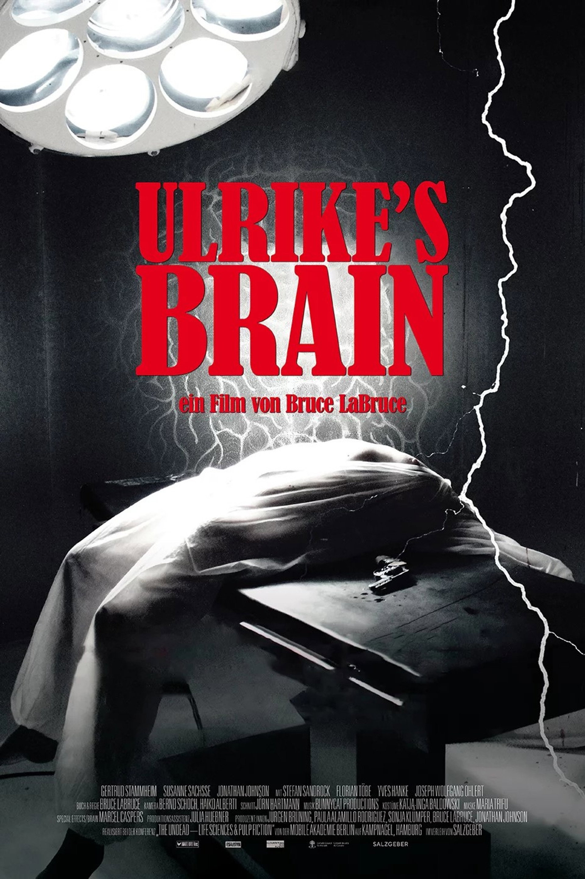 Ulrike's Brain