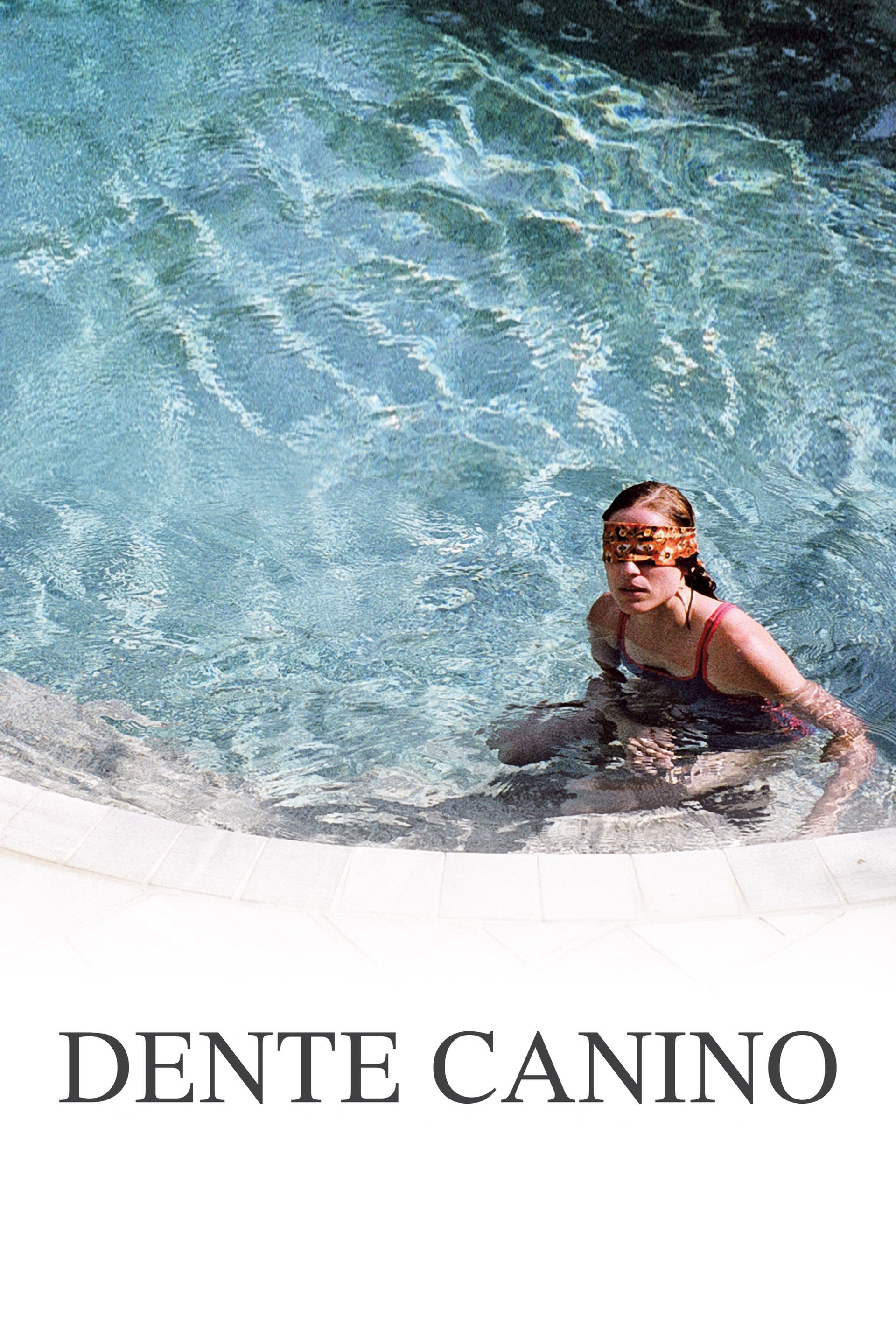 Dente Canino