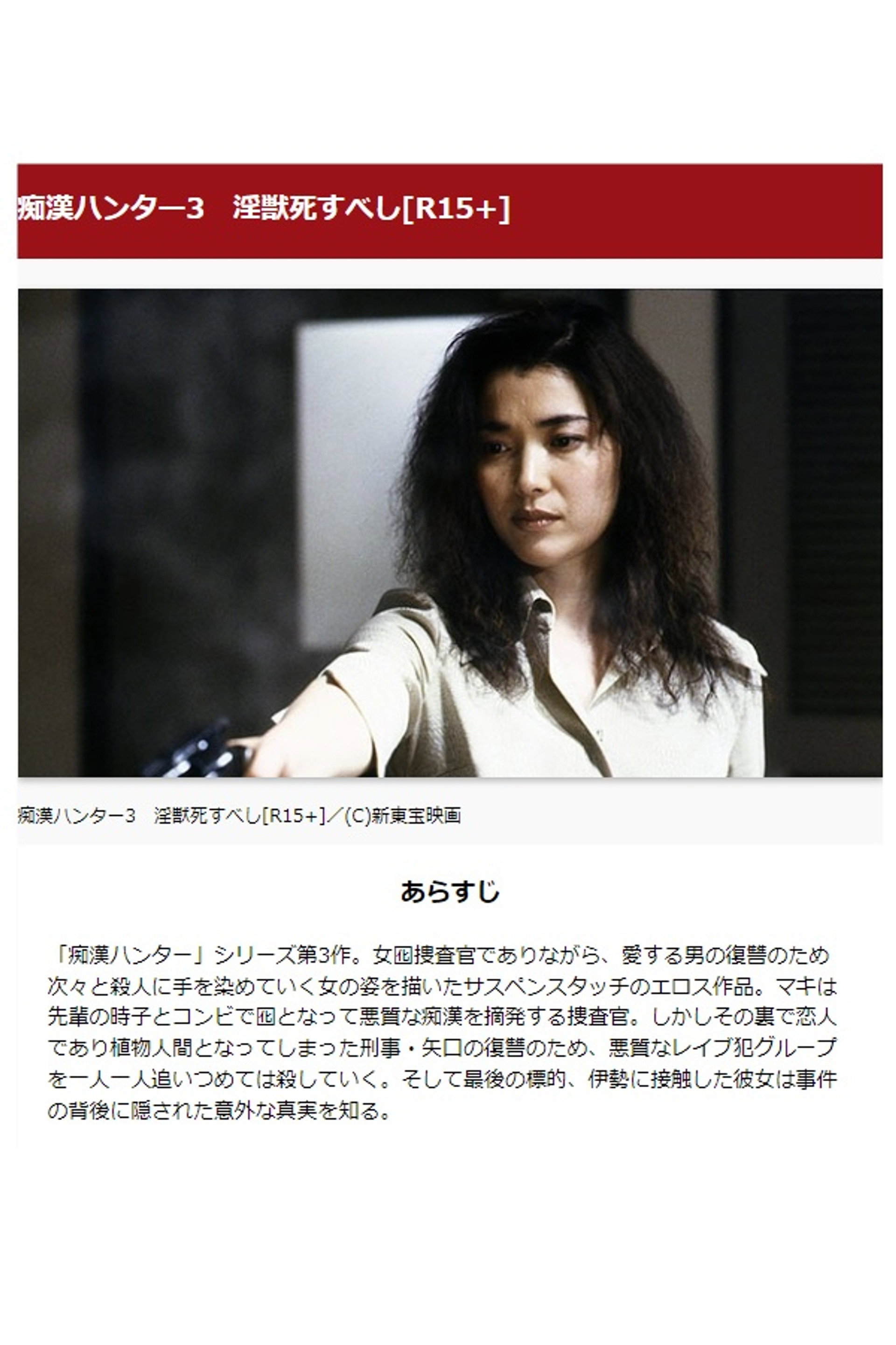 女痴漢捜査官3 恥情のテクニック