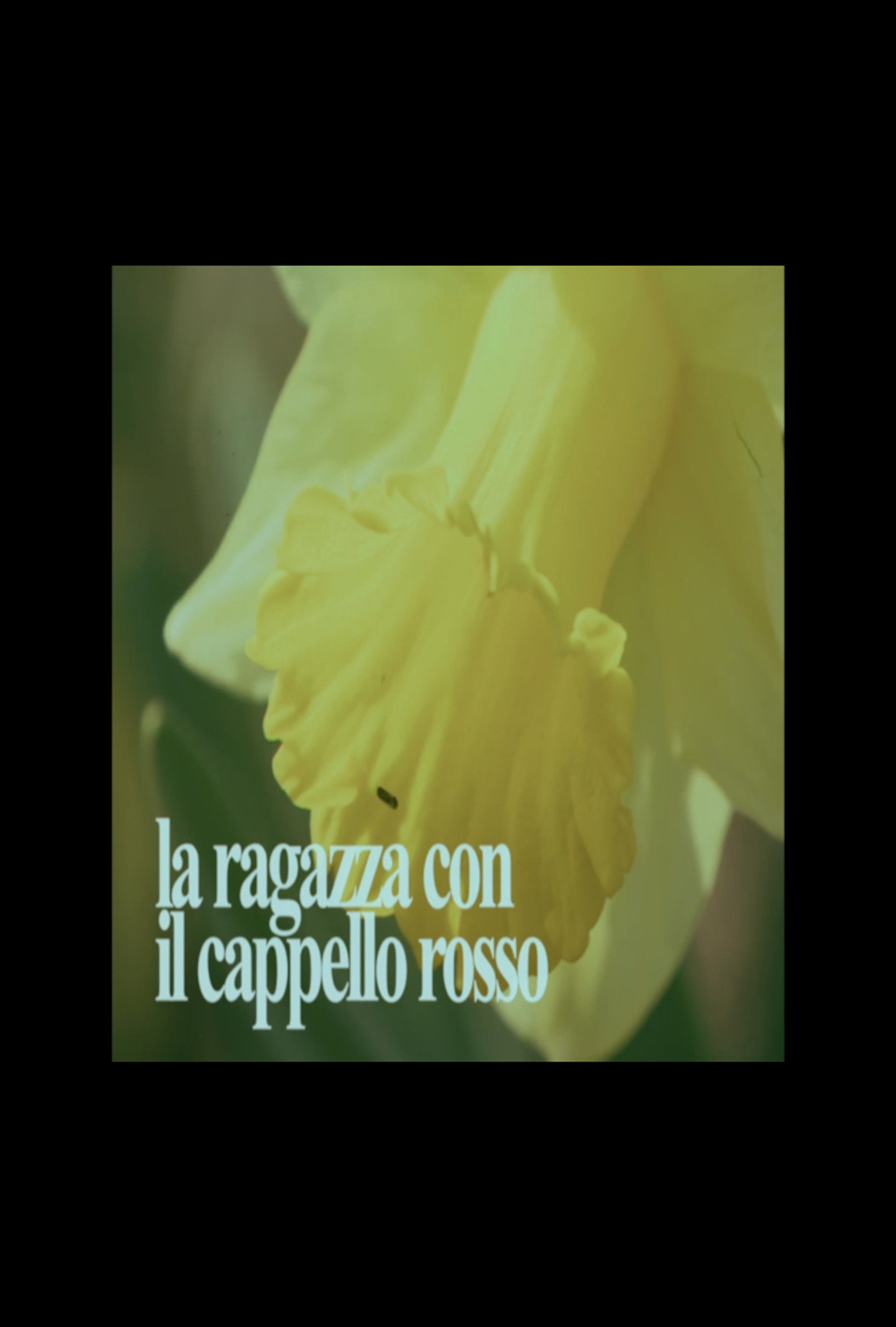 La Ragazza Con Il Cappello Rosso
