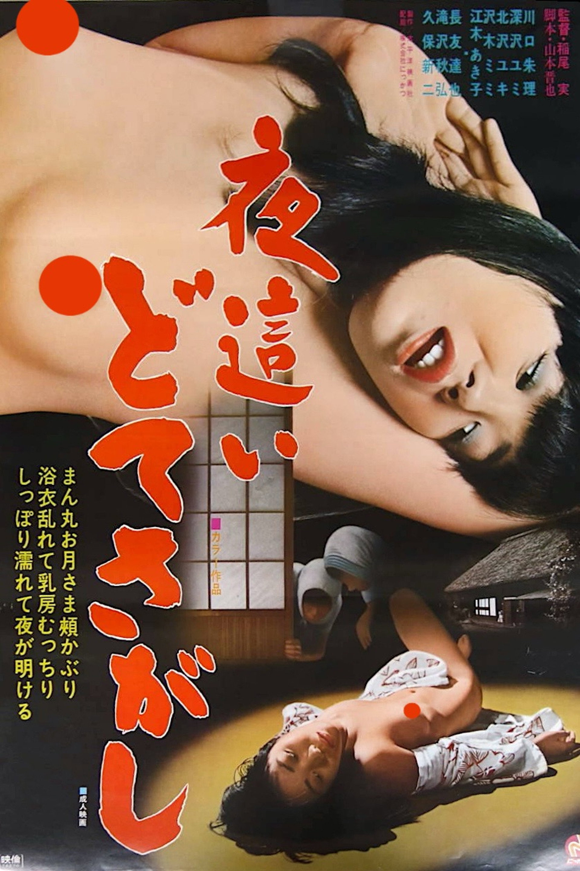 夜這い どてさがし