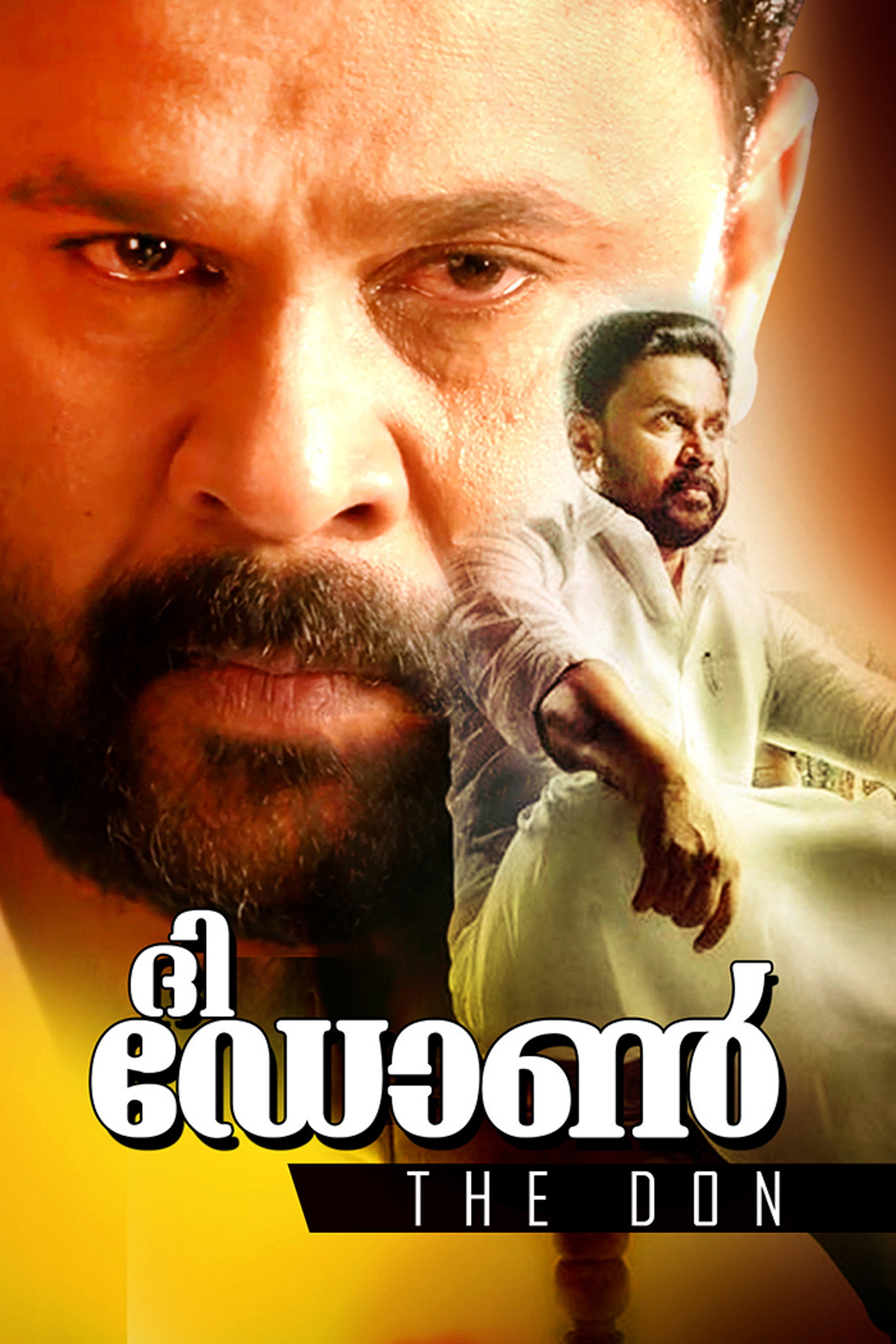 ദി ഡോണ്‍