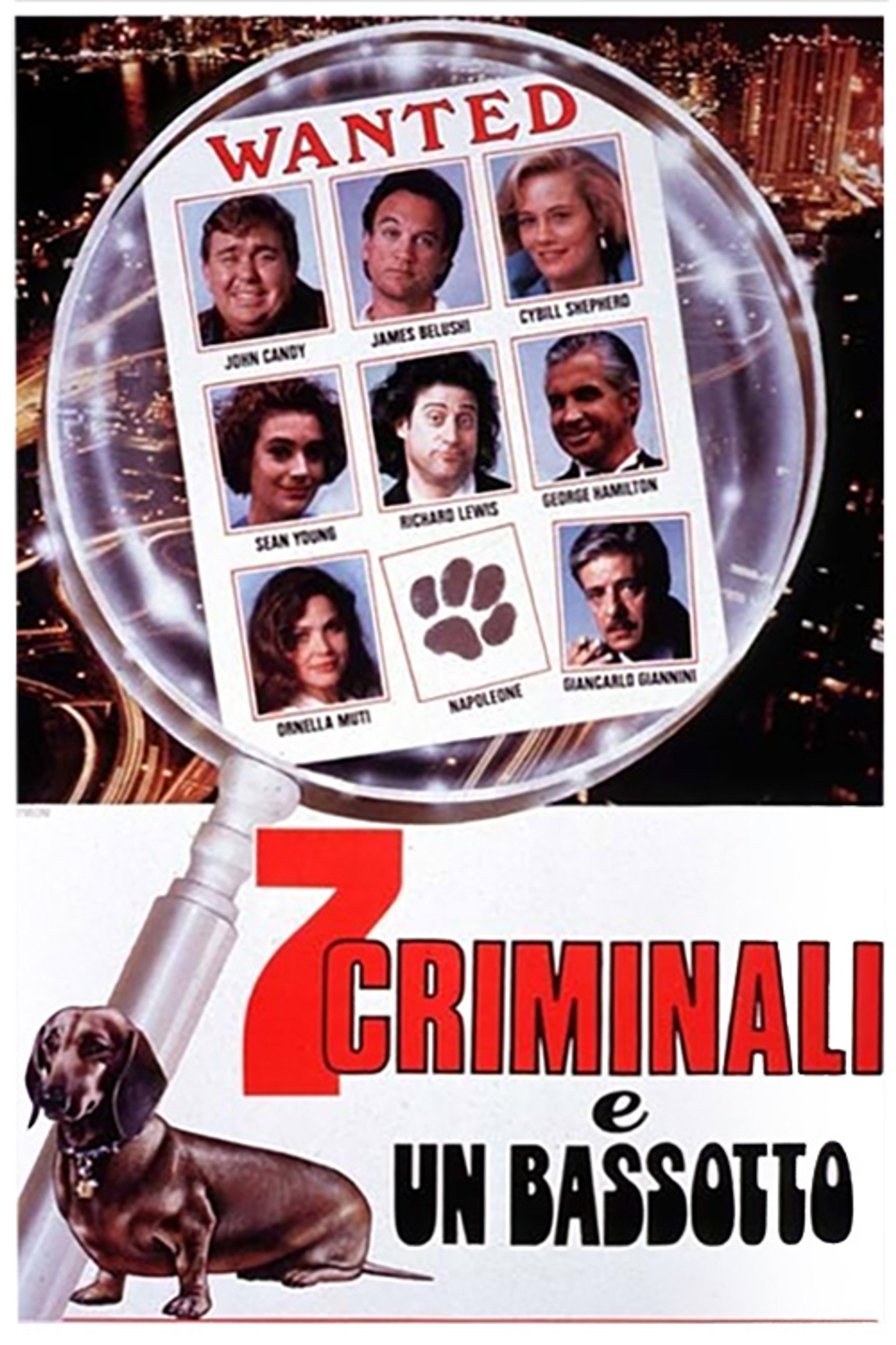7 criminali e un bassotto