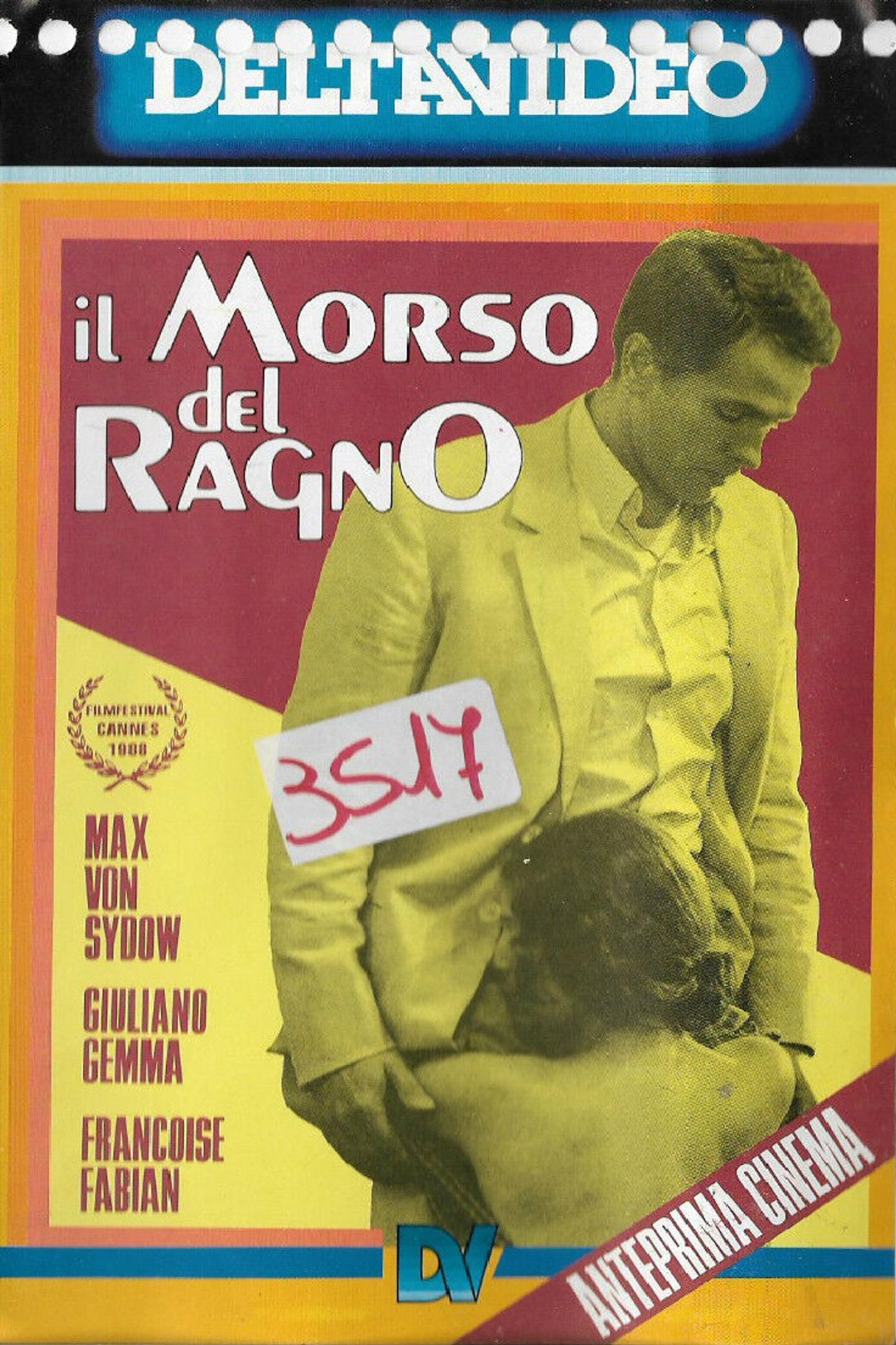Il morso del ragno