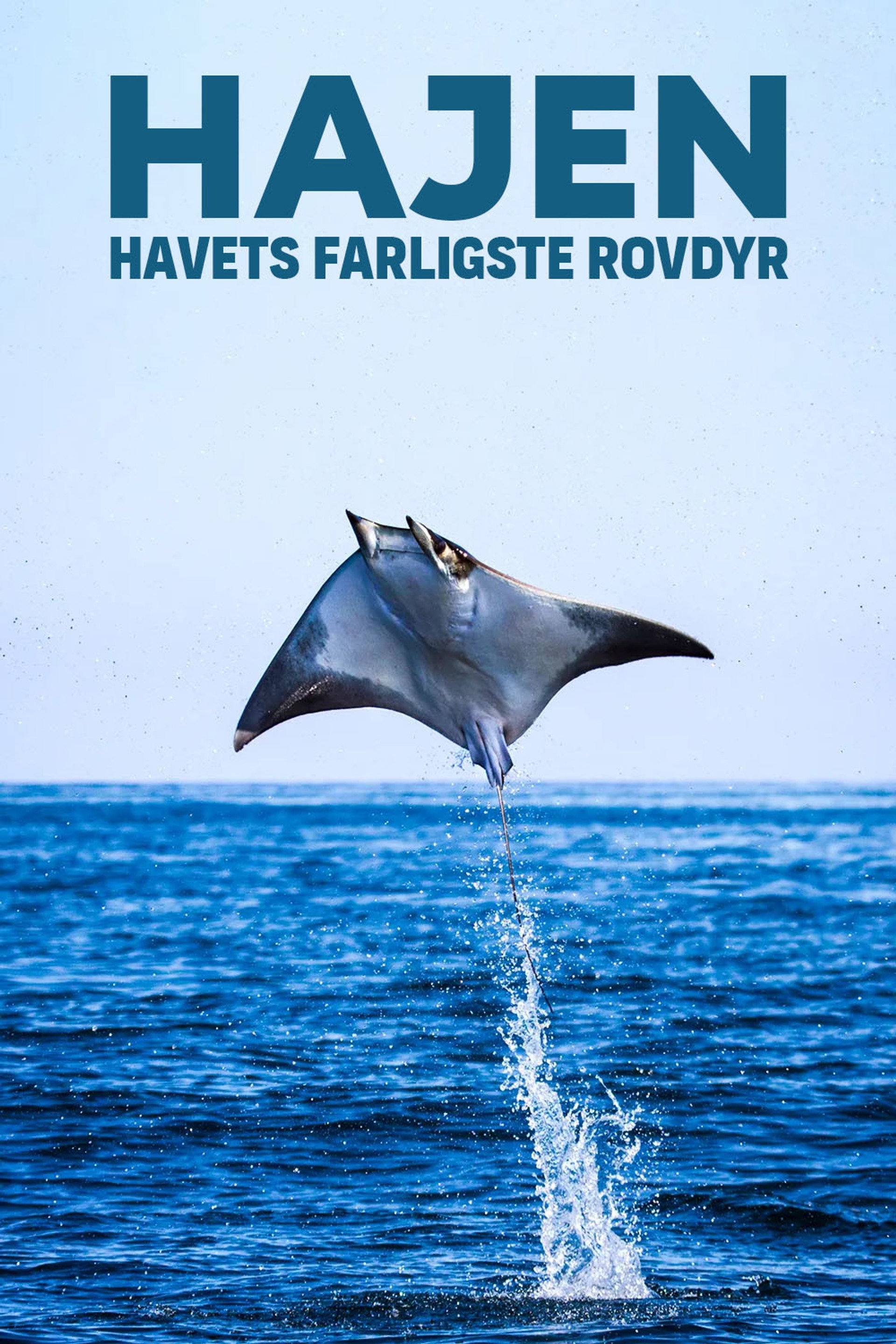 Hajen - havets farligste rovdyr