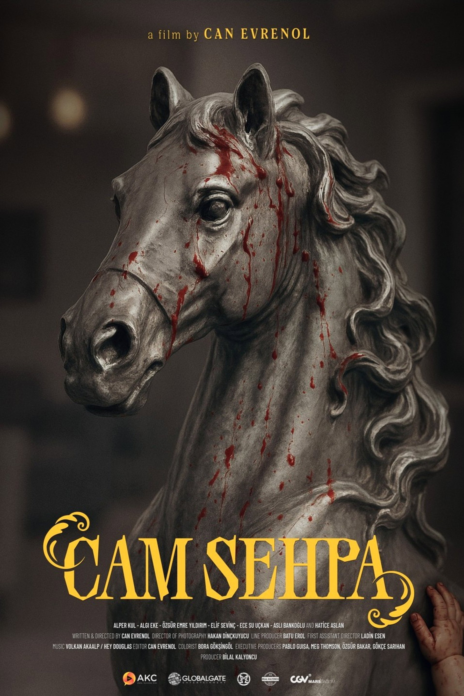 Cam Sehpa