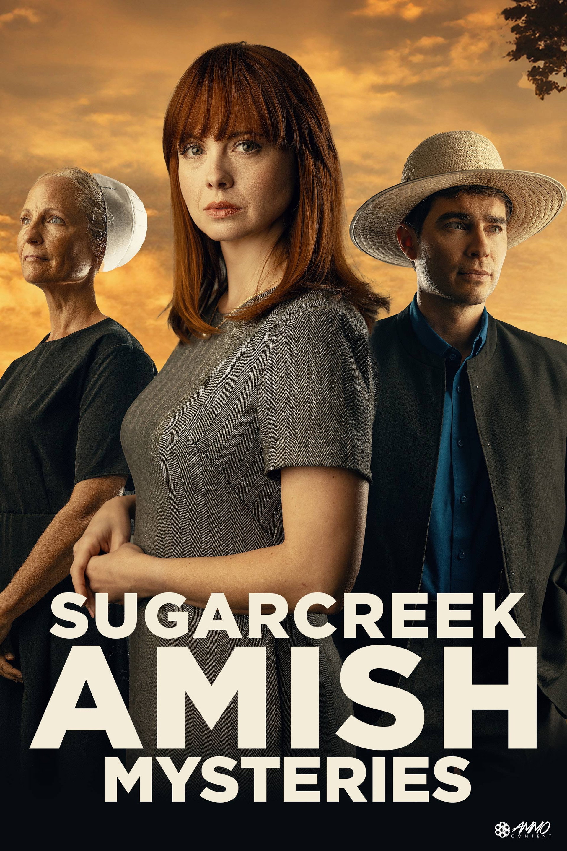 Sugarcreek Amish Mysteries: Blessings in Disguise